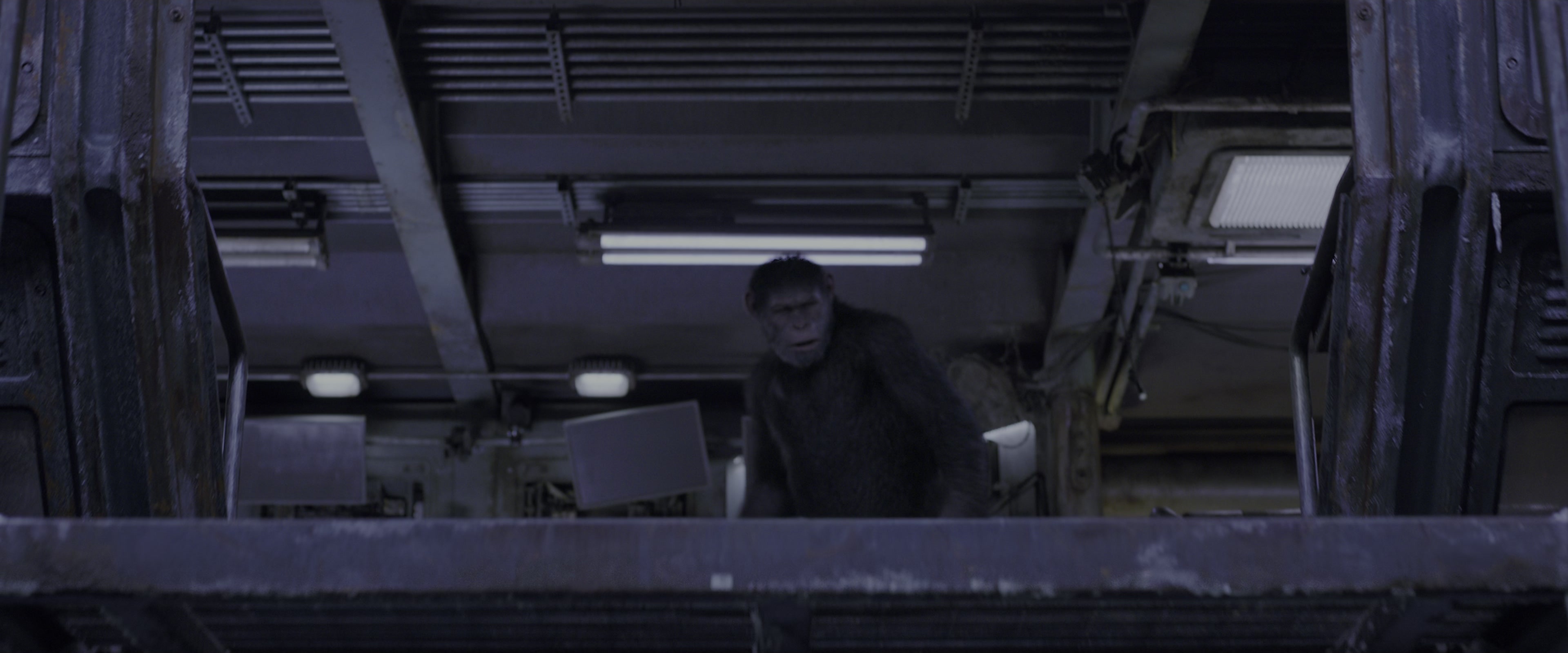 War for the Planet of the Apes (2017), wide, 2.40:1 — film still