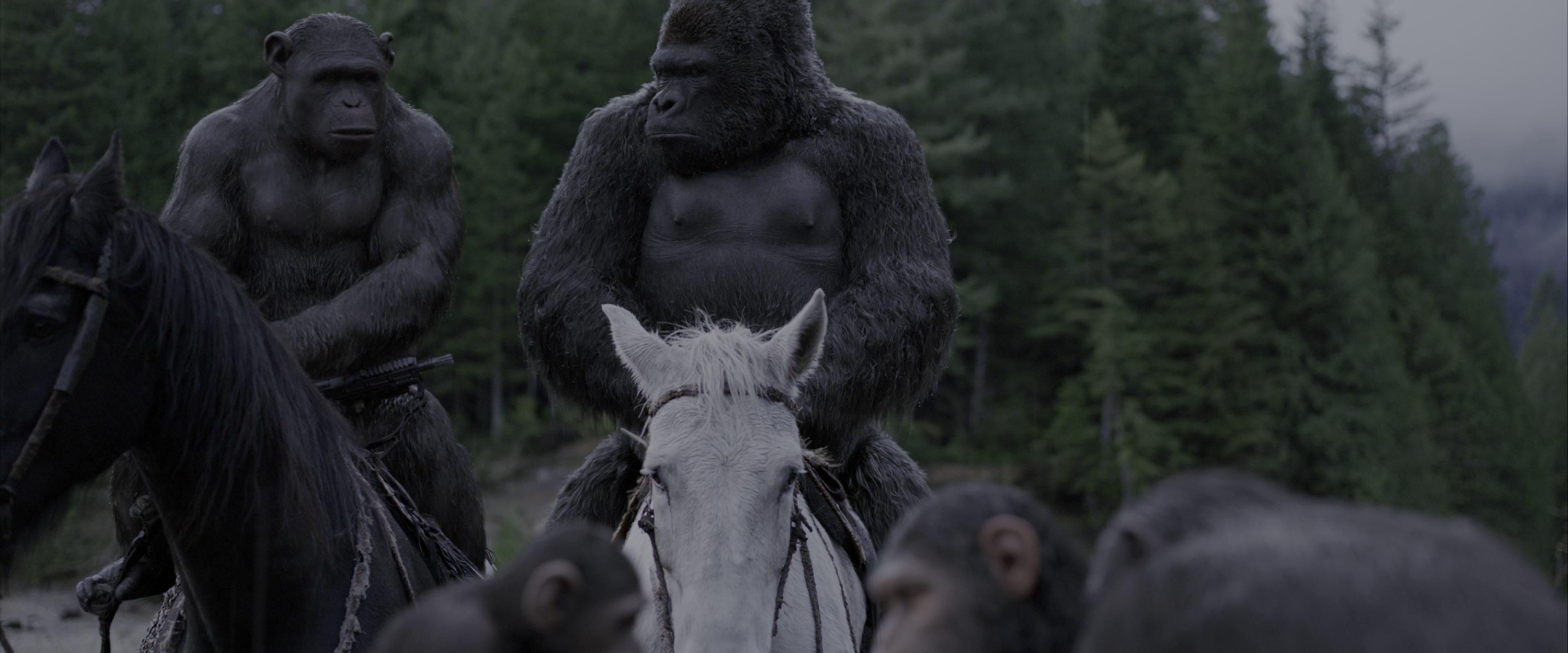War for the Planet of the Apes (2017), wide, 2.40:1 — film still