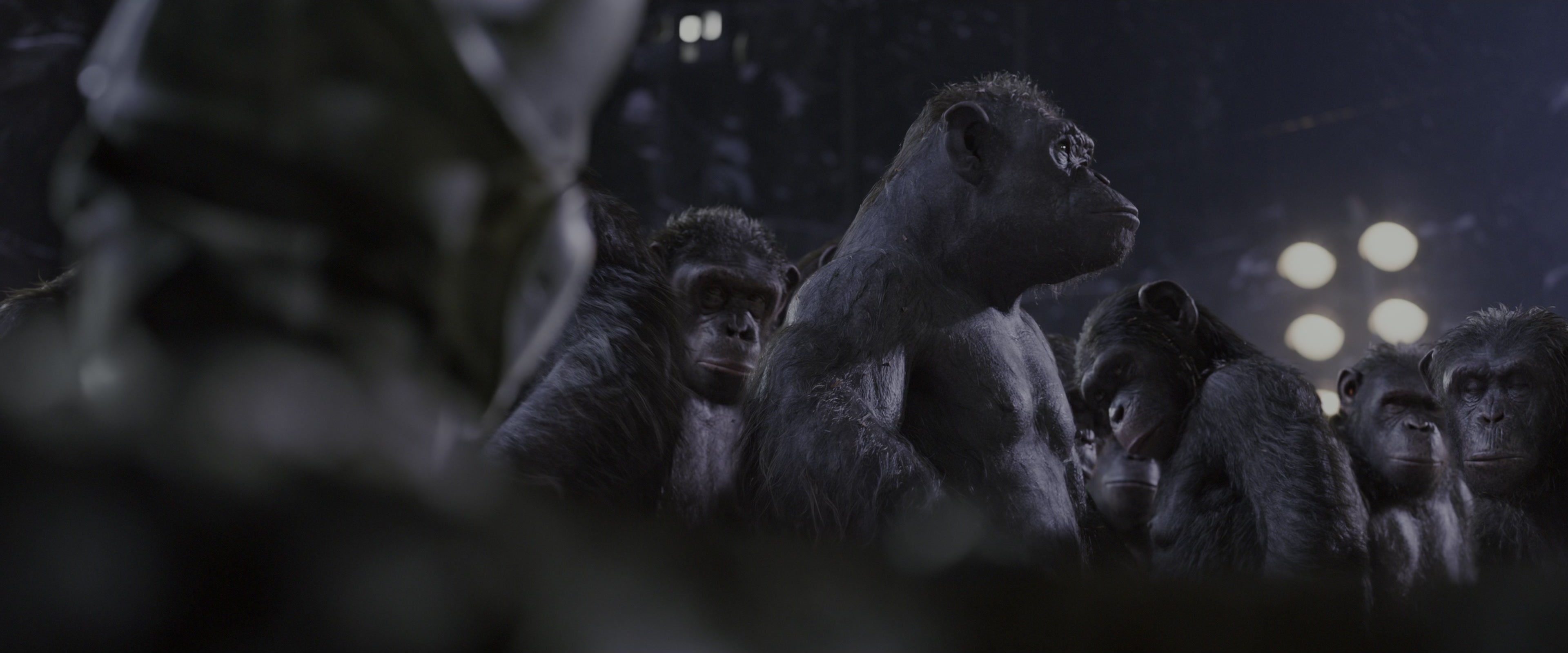 War for the Planet of the Apes (2017), wide, 2.40:1 — film still