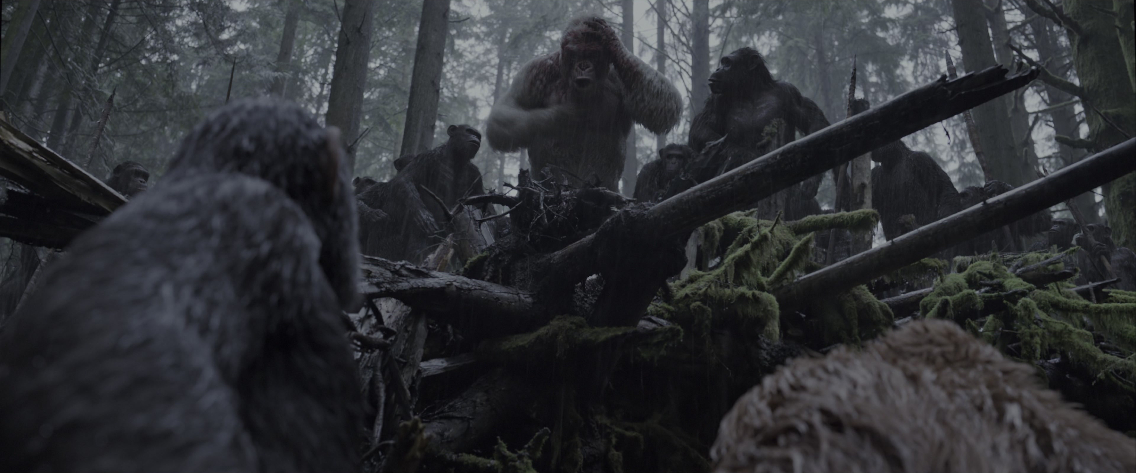 War for the Planet of the Apes (2017), wide, 2.40:1 — film still