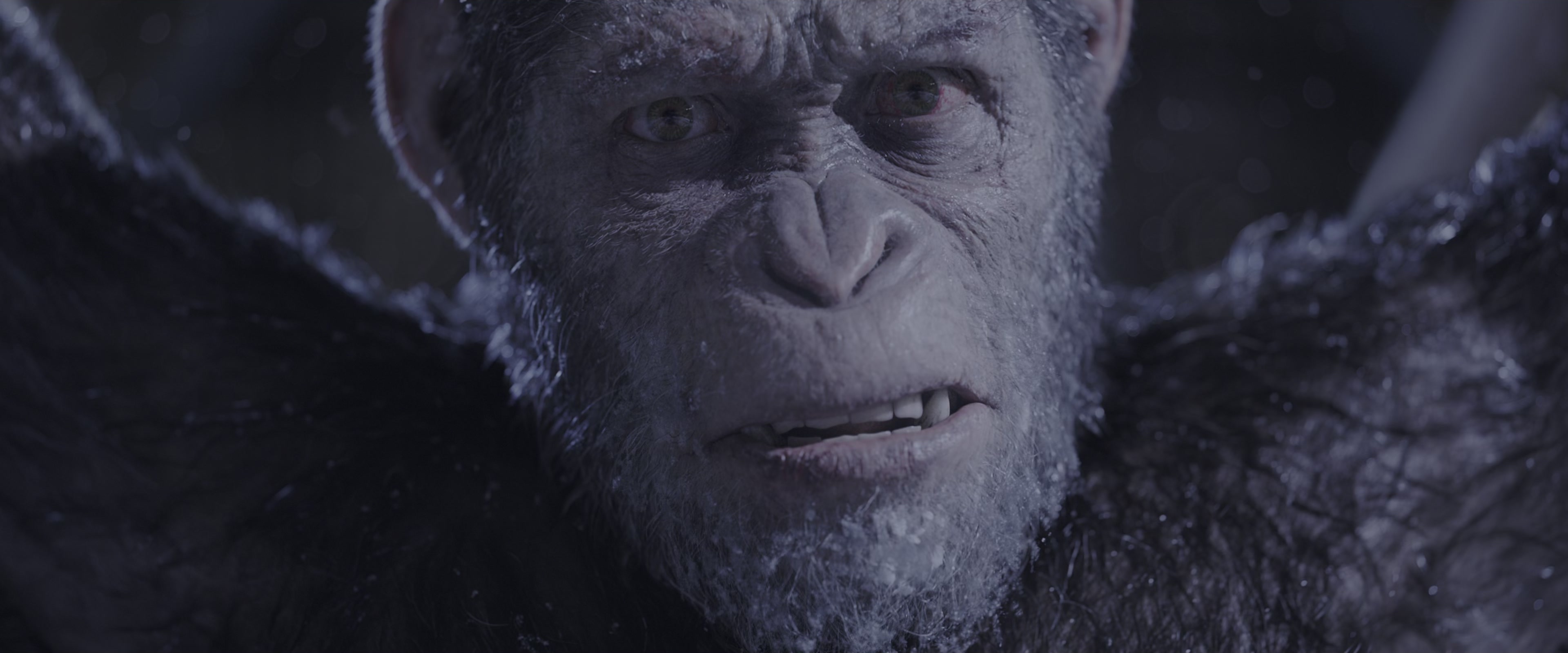 War for the Planet of the Apes (2017), wide, 2.40:1 — film still