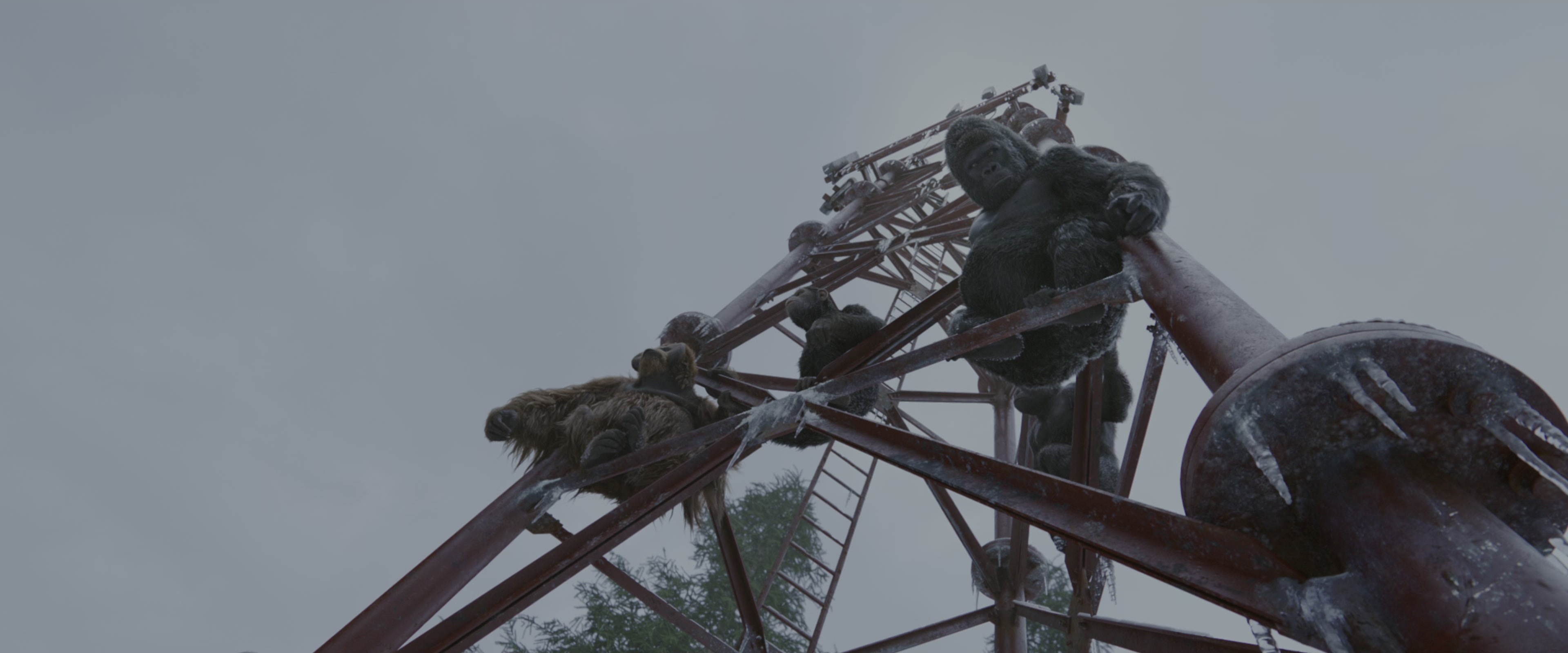 War for the Planet of the Apes (2017), wide, 2.40:1 — film still