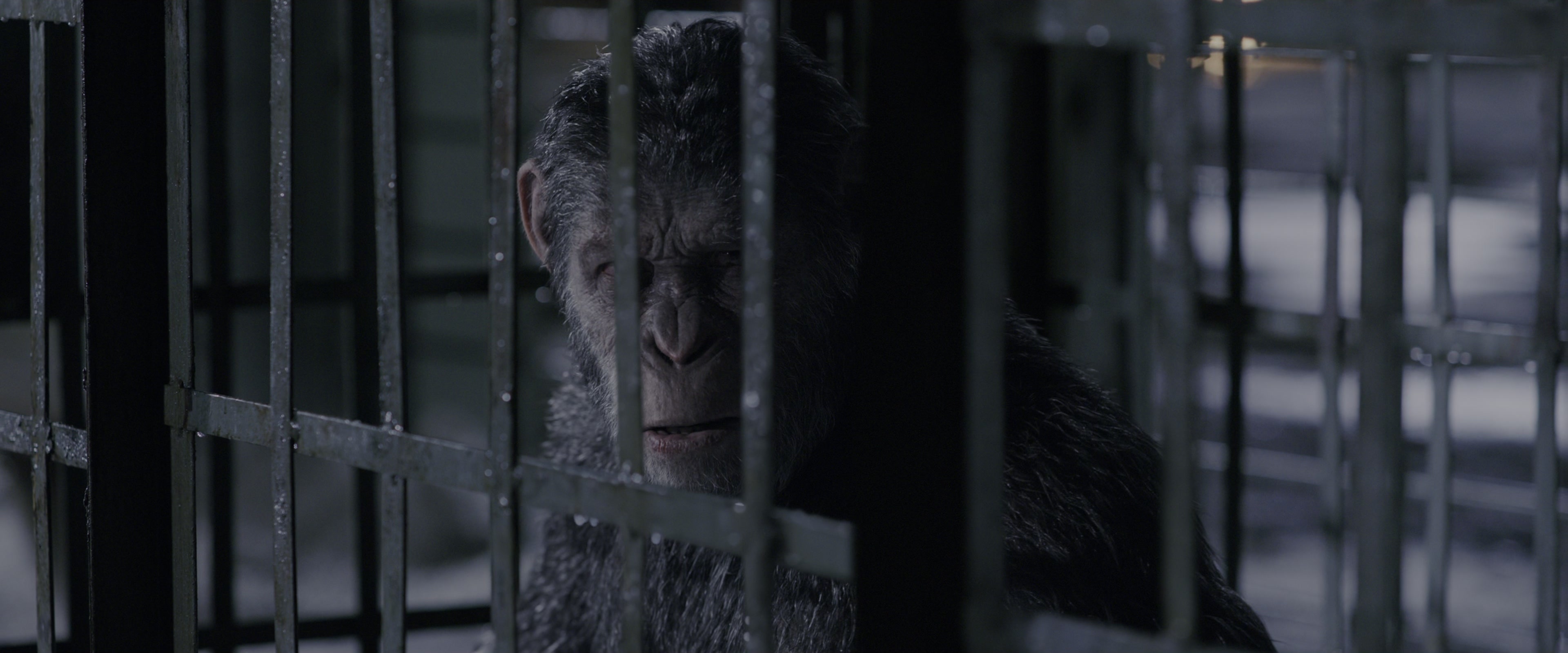 War for the Planet of the Apes (2017), wide, 2.40:1 — film still