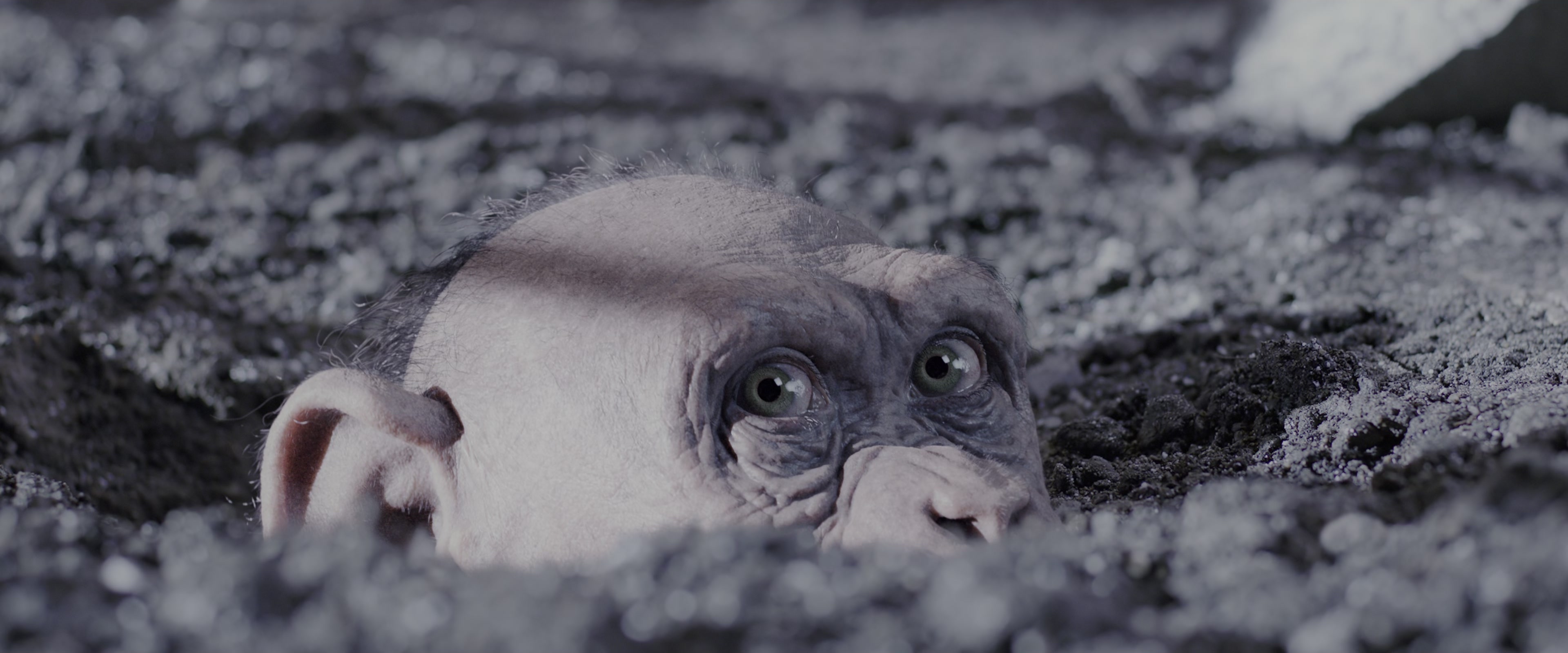 War for the Planet of the Apes (2017), wide, 2.40:1 — film still