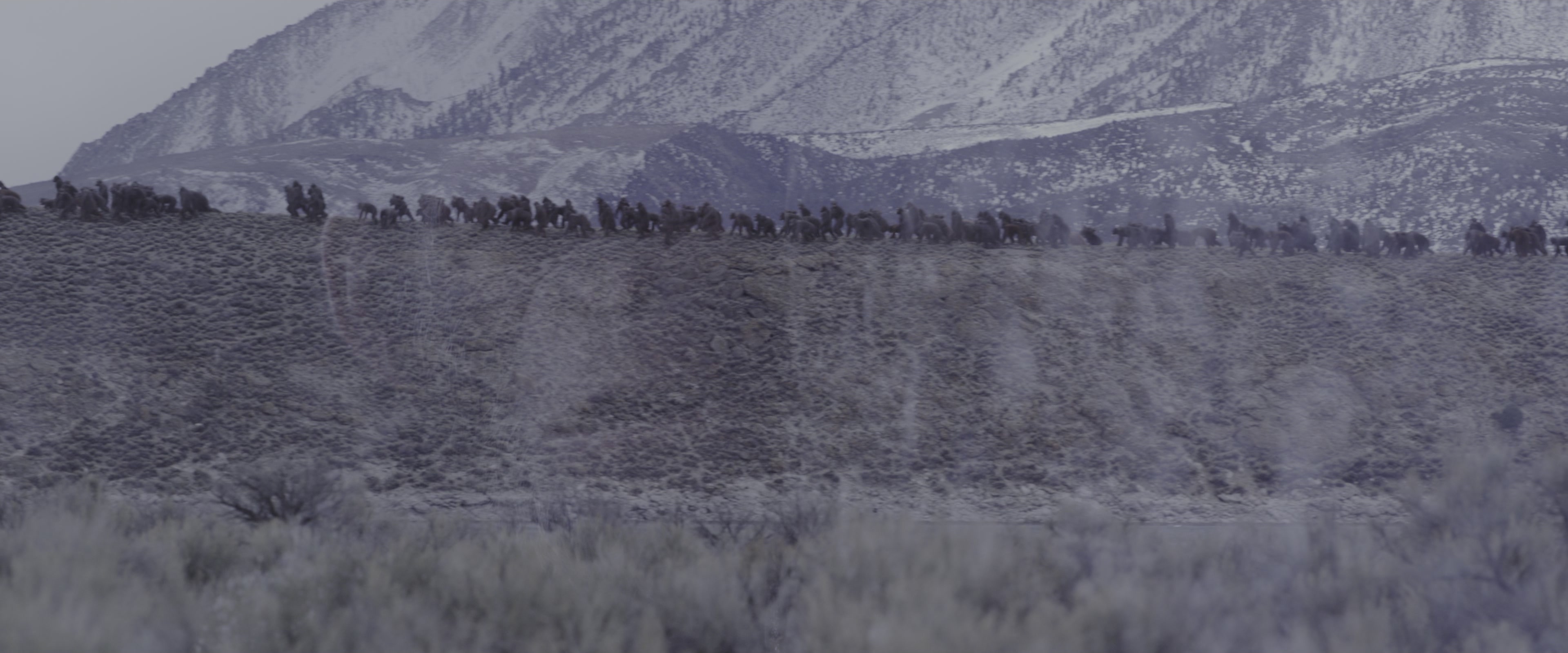 War for the Planet of the Apes (2017), wide, 2.40:1 — film still