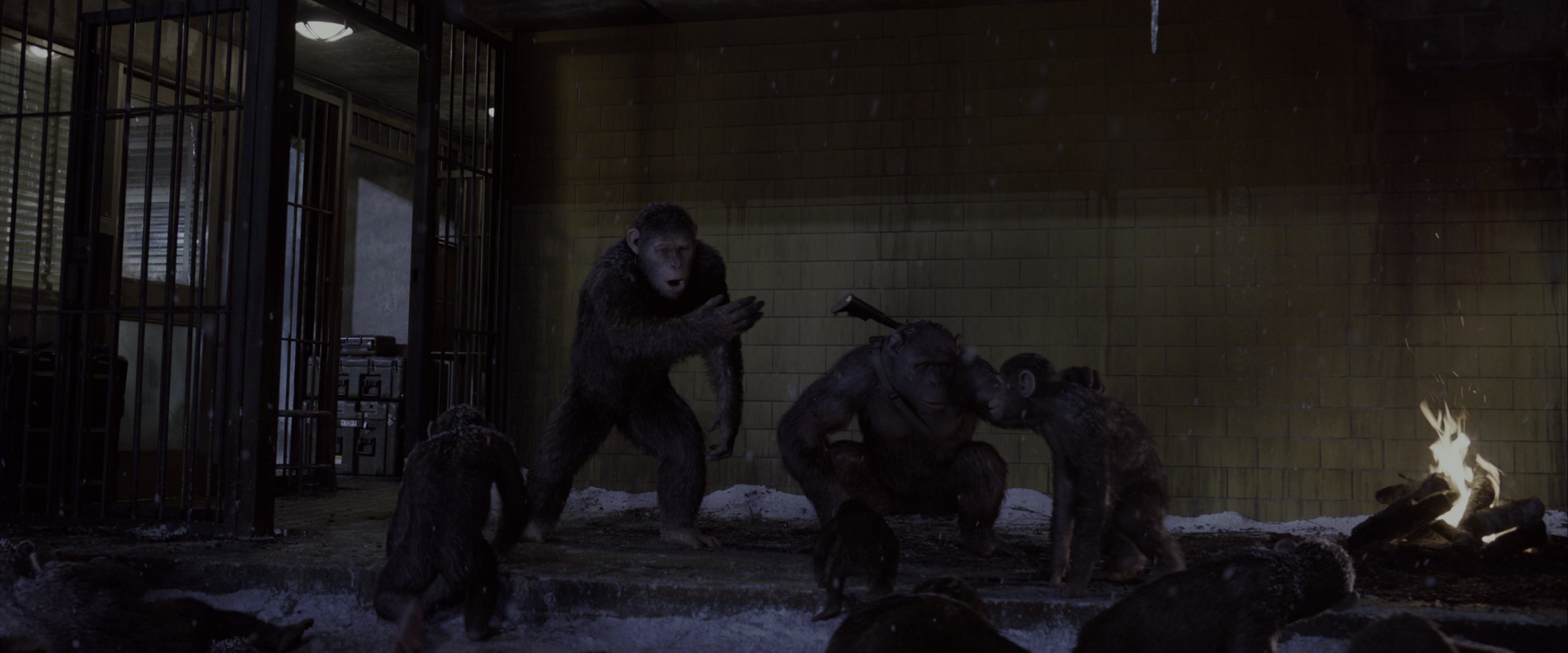 War for the Planet of the Apes (2017), wide, 2.40:1 — film still