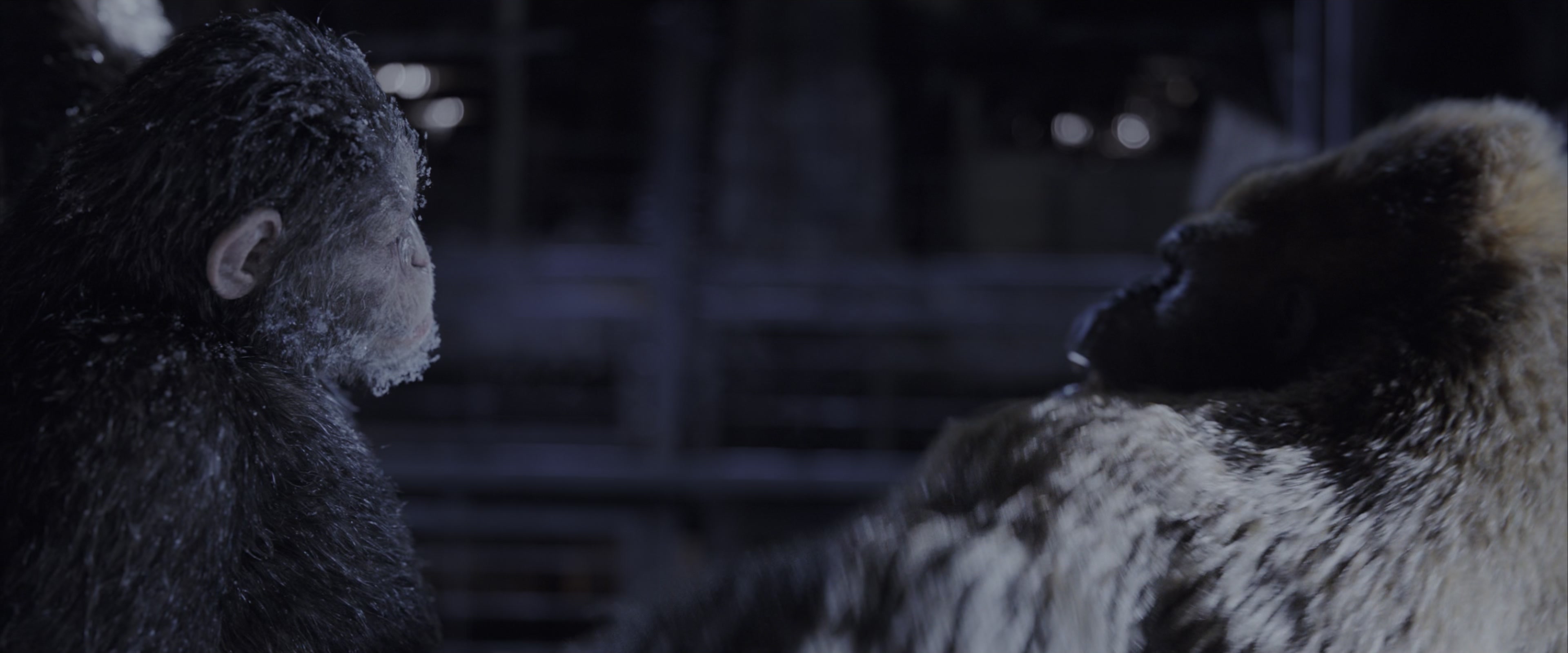 War for the Planet of the Apes (2017), wide, 2.40:1 — film still