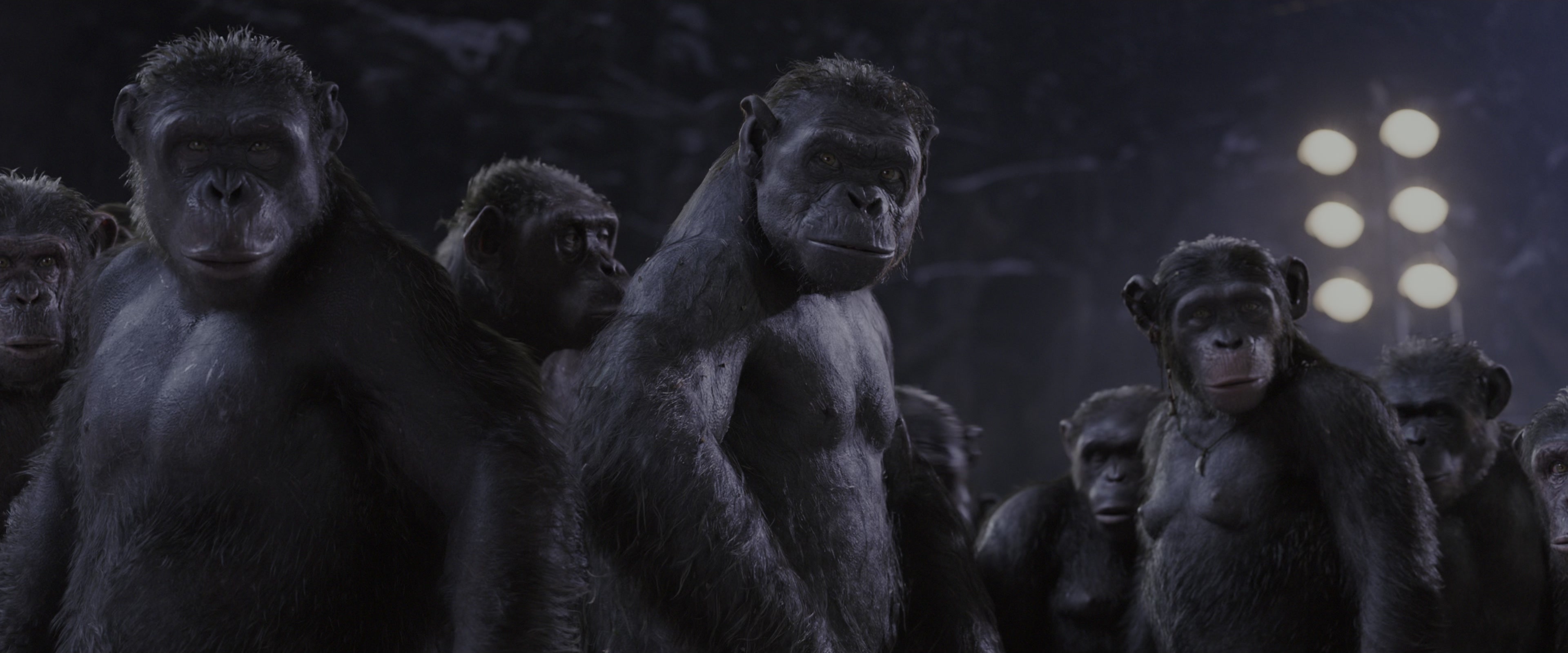 War for the Planet of the Apes (2017), medium, 2.40:1 — film still