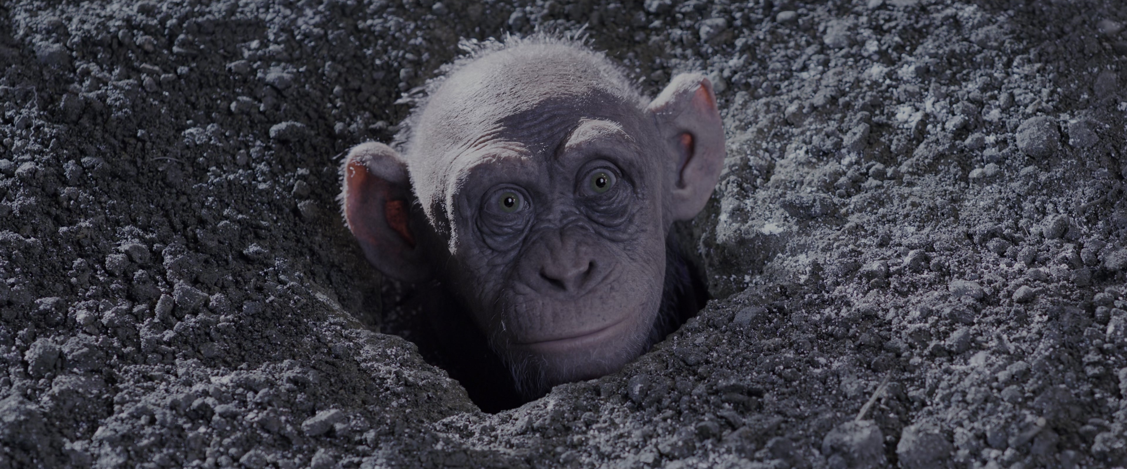 War for the Planet of the Apes (2017), wide, 2.40:1 — film still