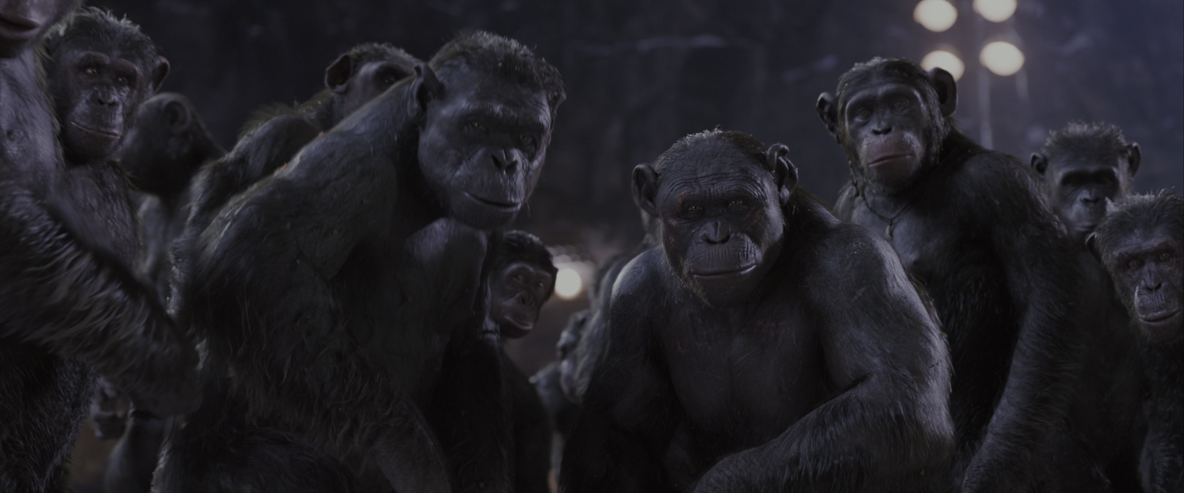 War for the Planet of the Apes (2017), wide, 2.40:1 — film still