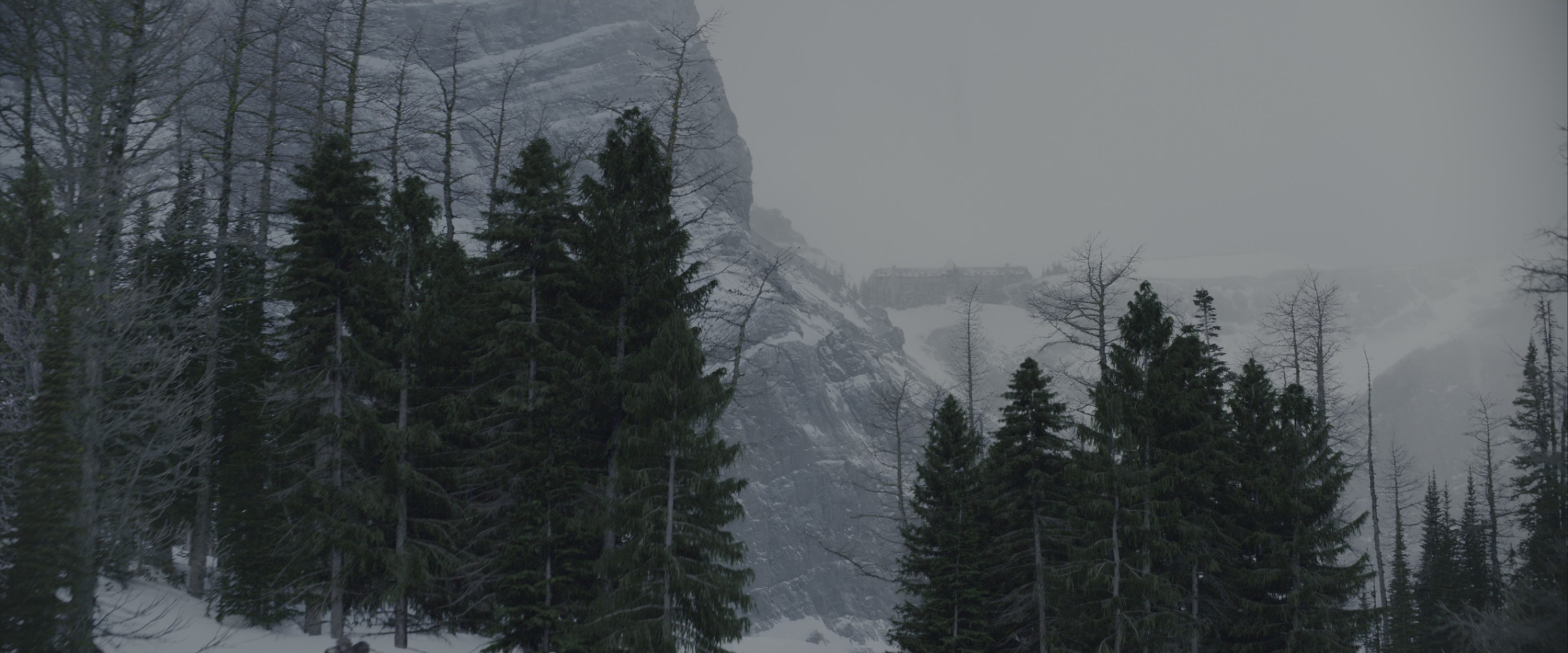 War for the Planet of the Apes (2017), wide, 2.40:1 — film still