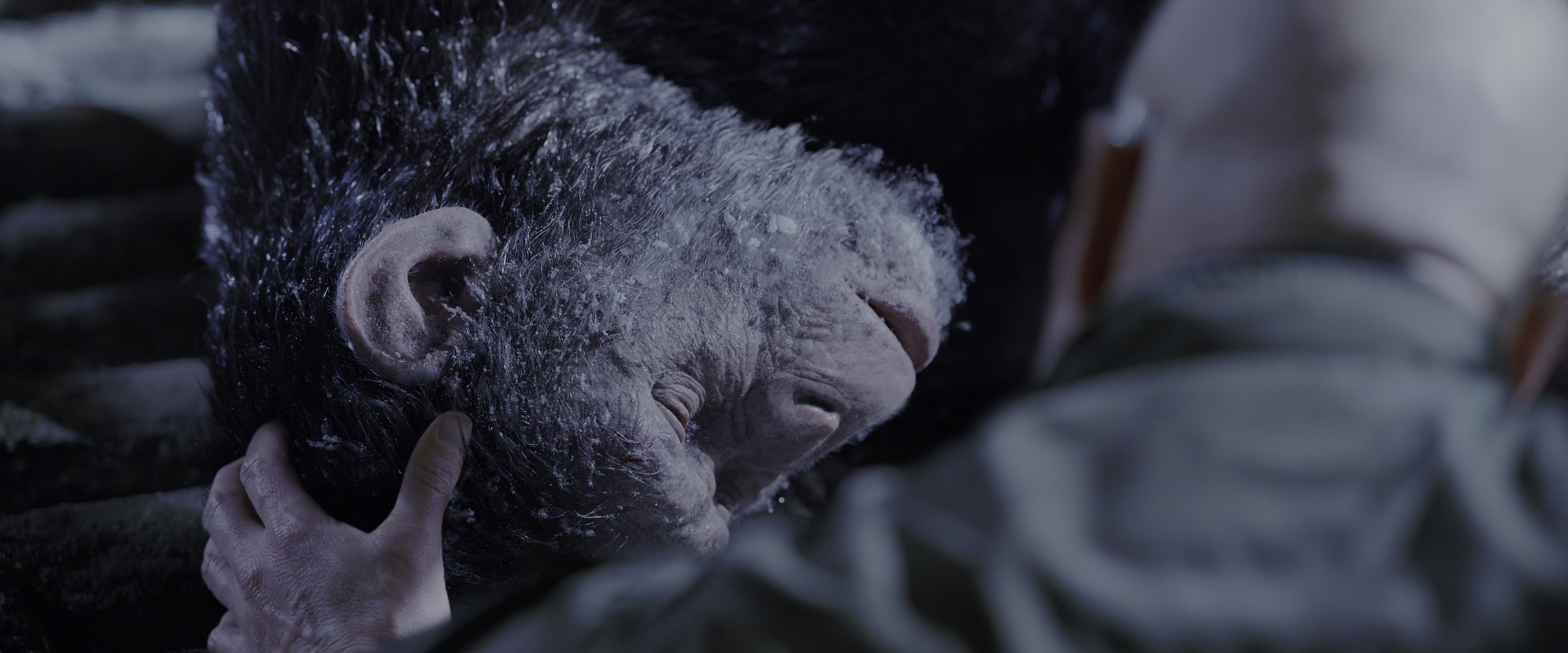 War for the Planet of the Apes (2017), wide, 2.40:1 — film still