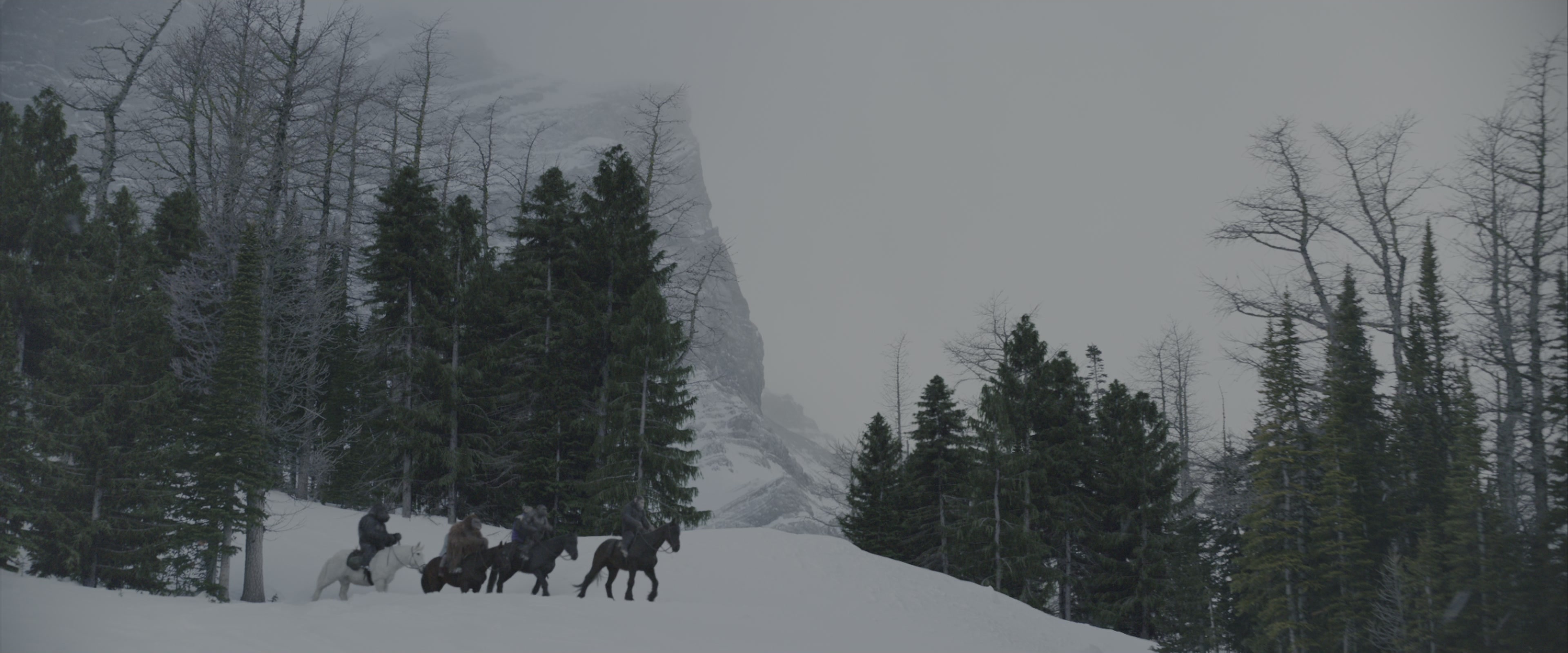 War for the Planet of the Apes (2017), wide, 2.40:1 — film still