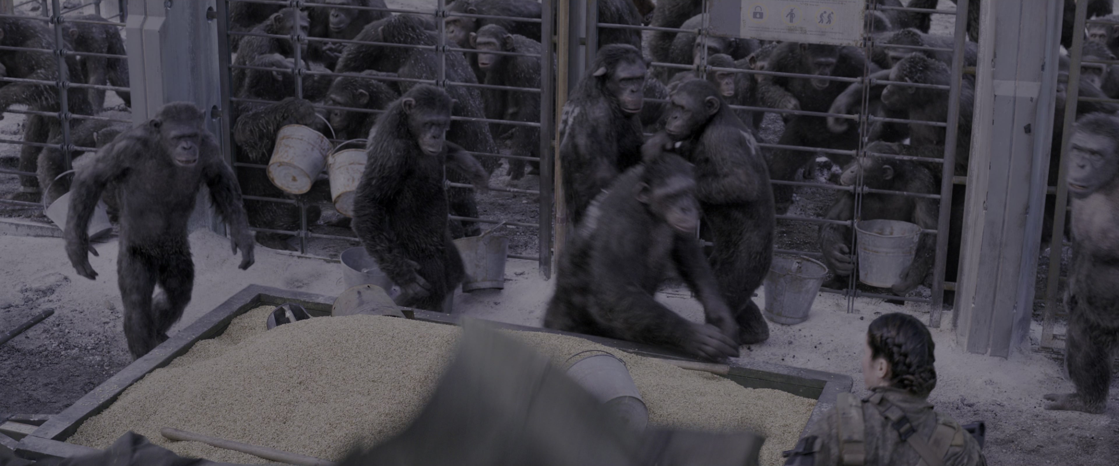 War for the Planet of the Apes (2017), wide, 2.40:1 — film still