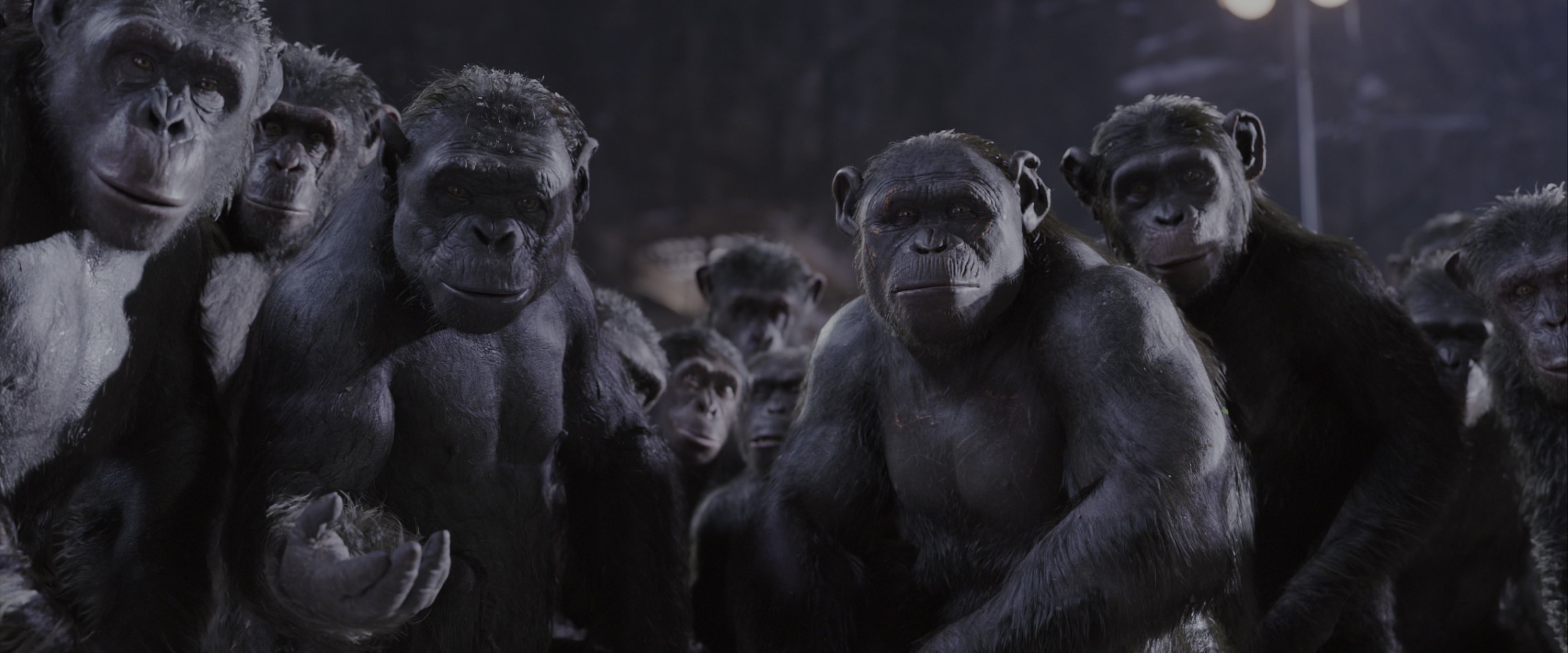 War for the Planet of the Apes (2017), wide, 2.40:1 — film still