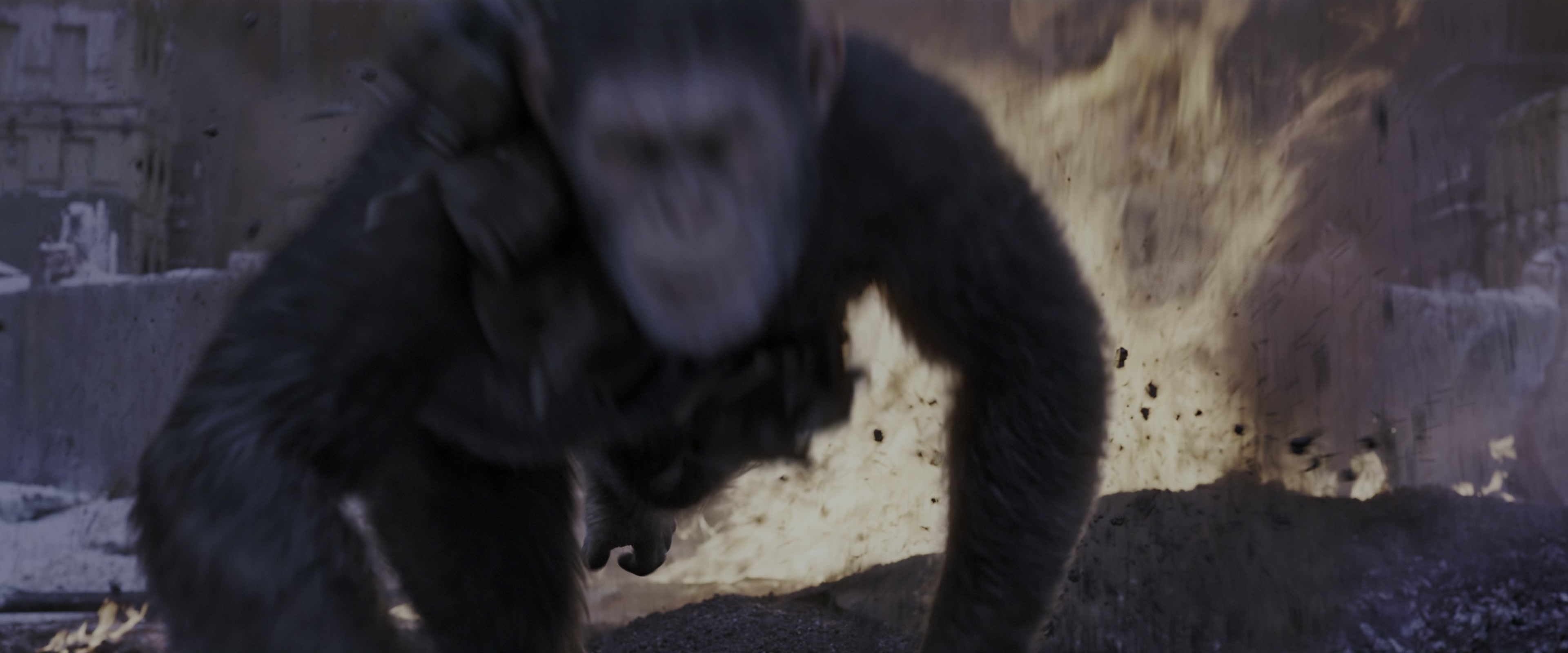 War for the Planet of the Apes (2017), medium, 2.40:1 — film still