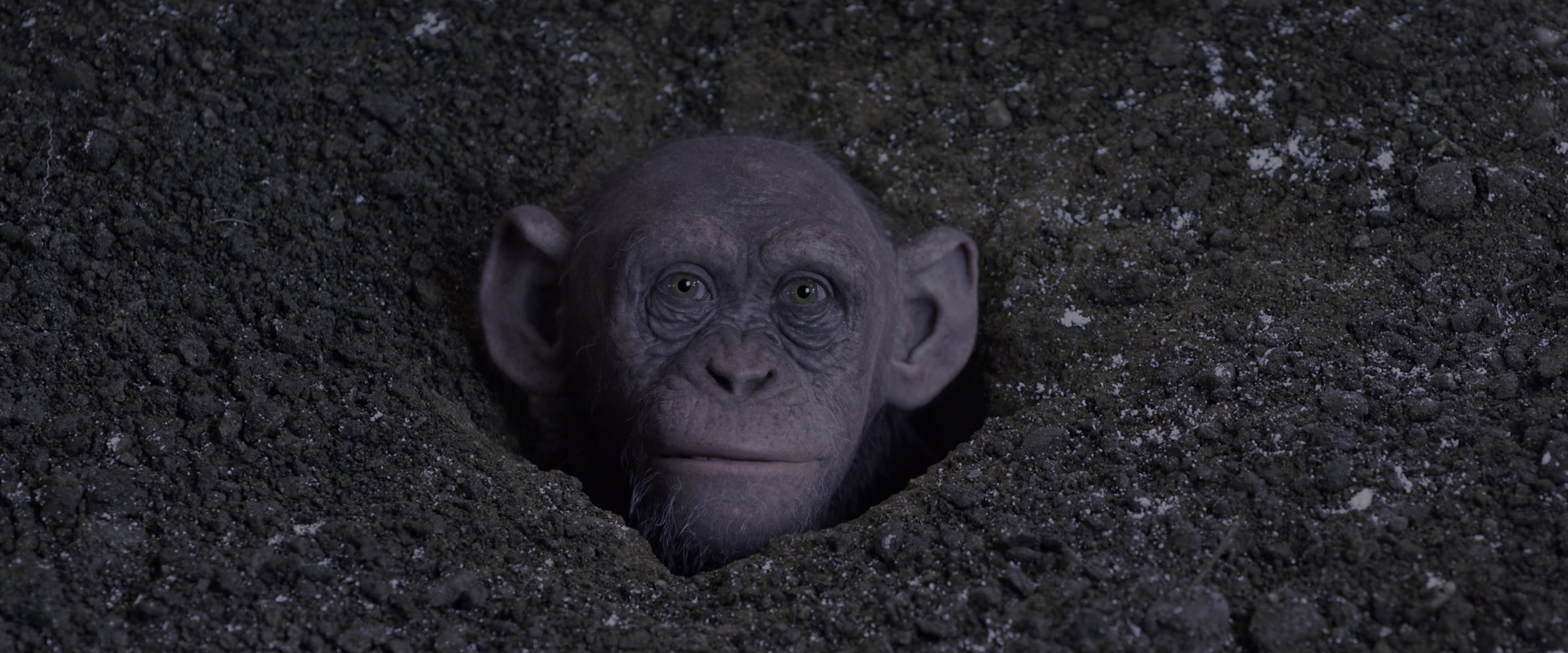War for the Planet of the Apes (2017), wide, 2.40:1 — film still