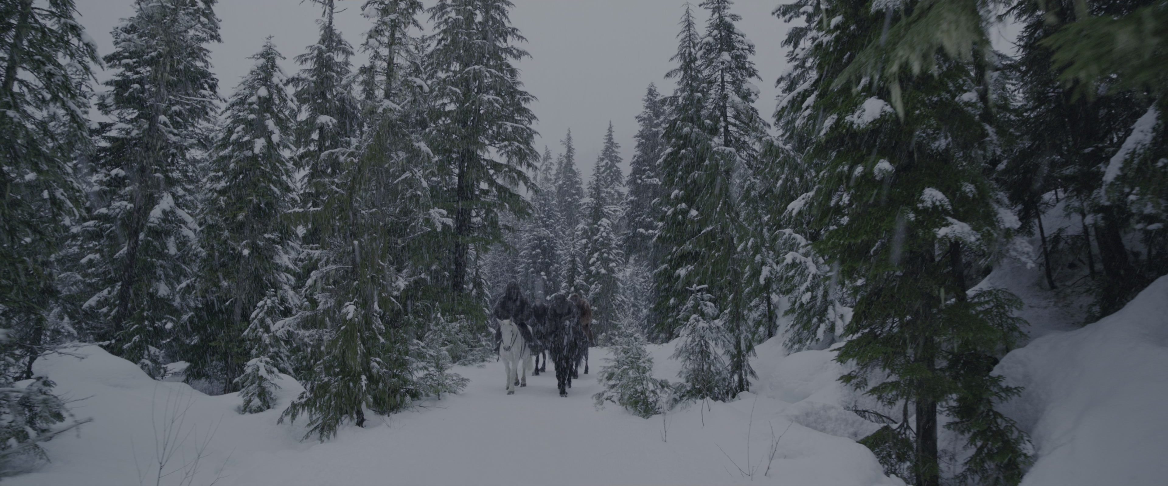 War for the Planet of the Apes (2017), wide, 2.40:1 — film still
