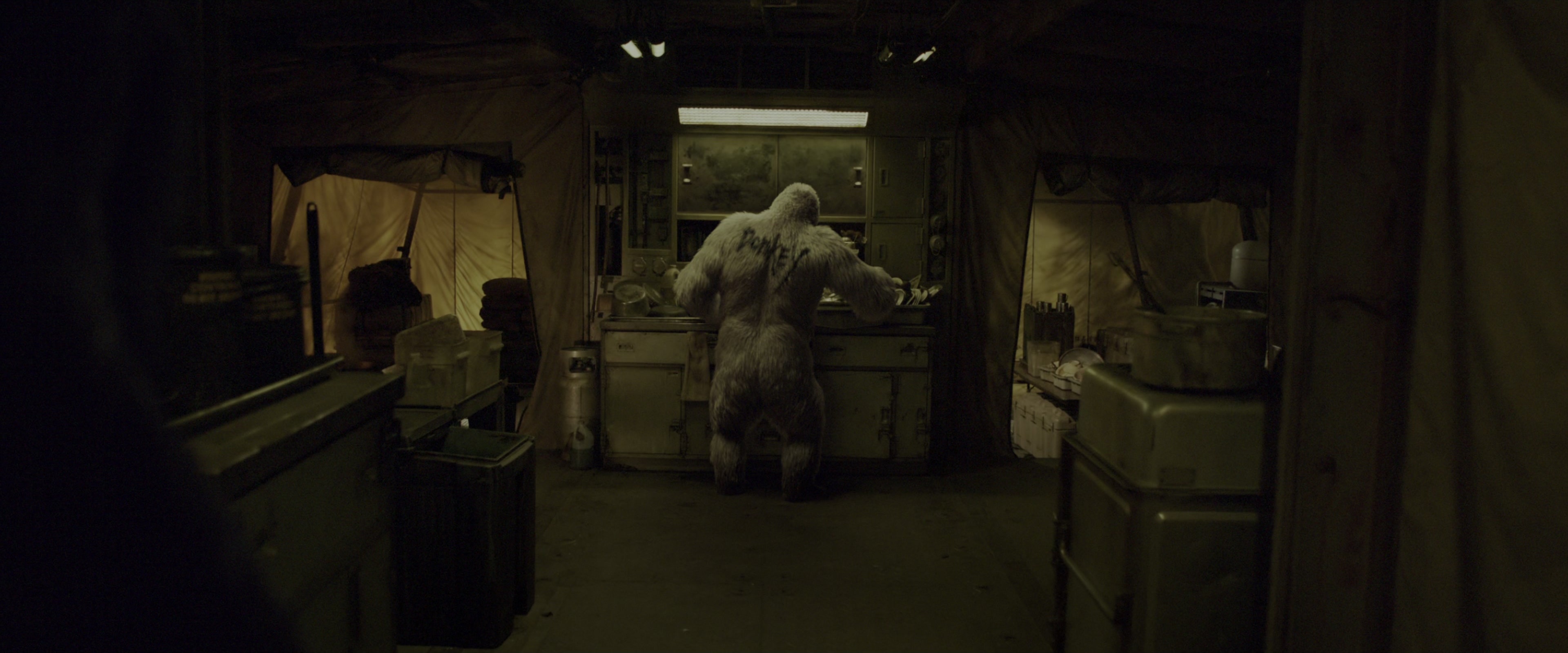 War for the Planet of the Apes (2017), wide, 2.40:1 — film still