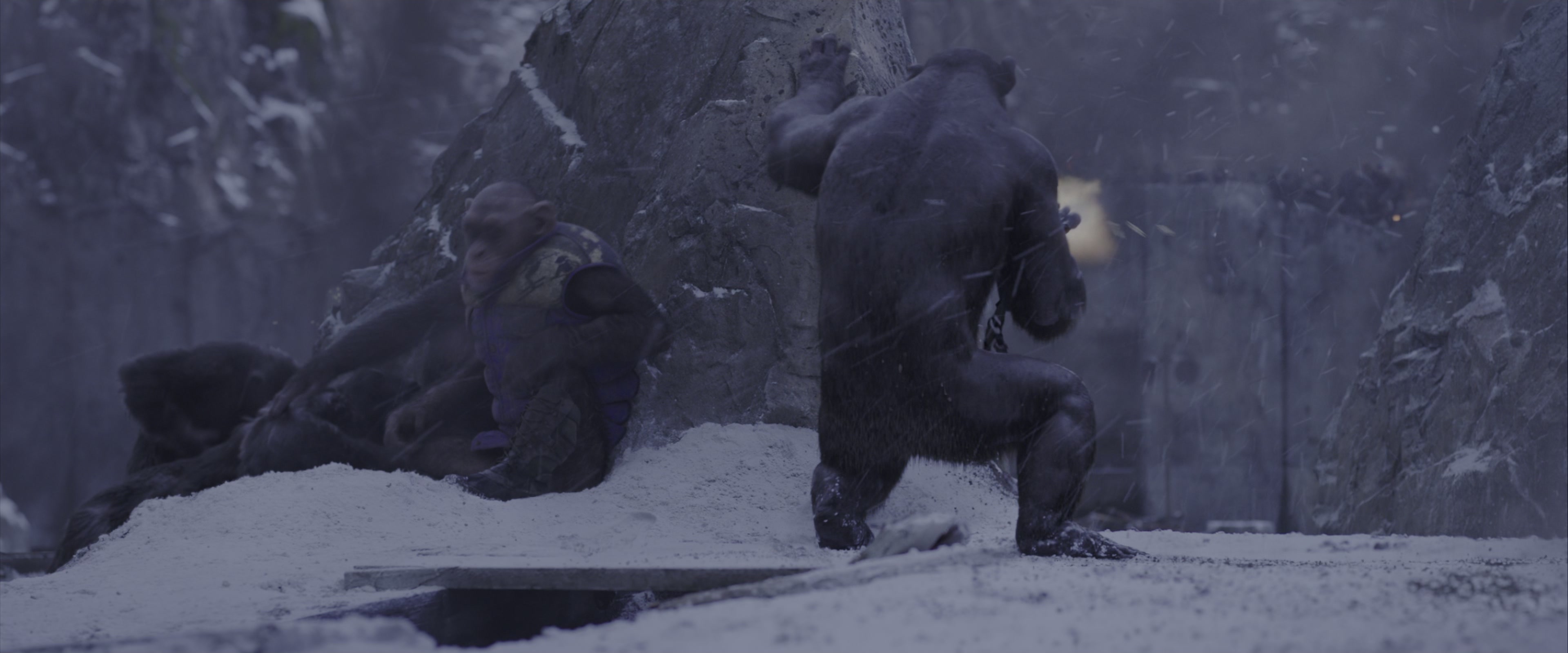 War for the Planet of the Apes (2017), wide, 2.40:1 — film still