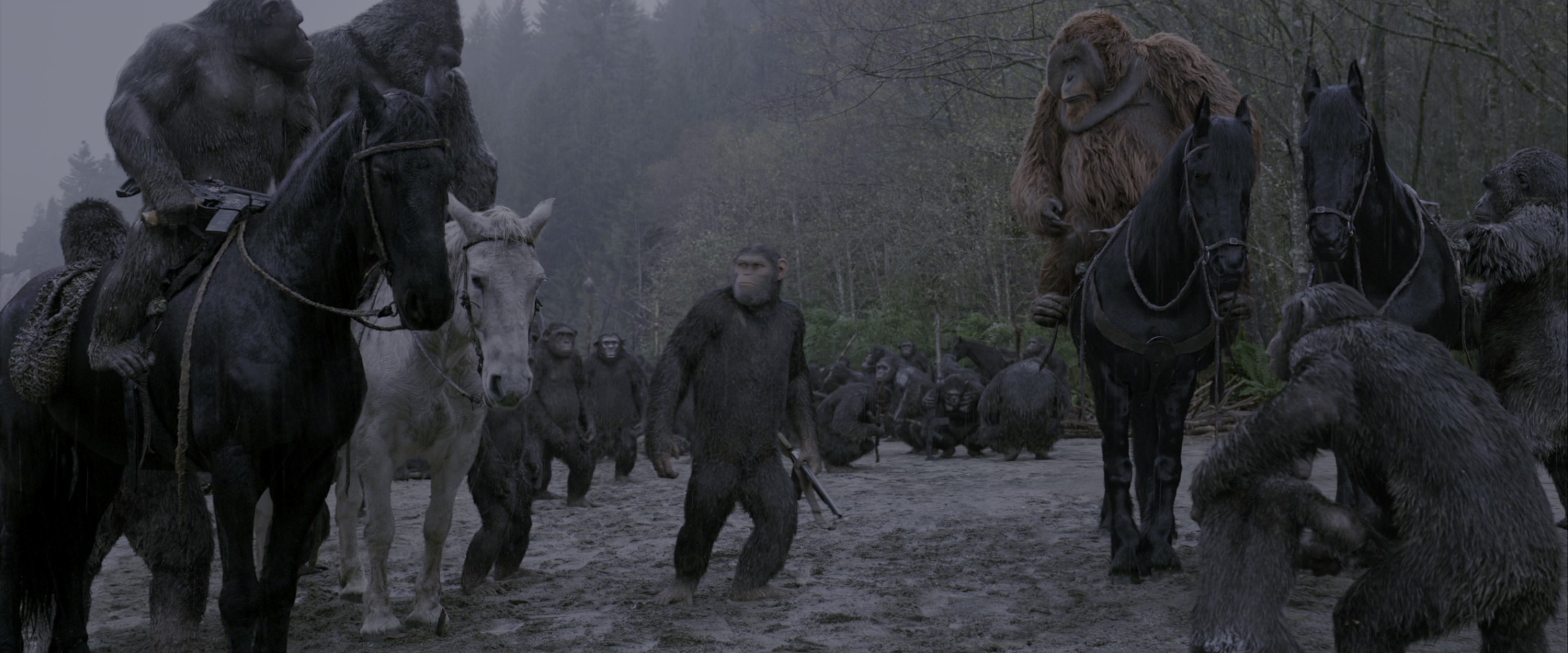 War for the Planet of the Apes (2017), wide, 2.40:1 — film still