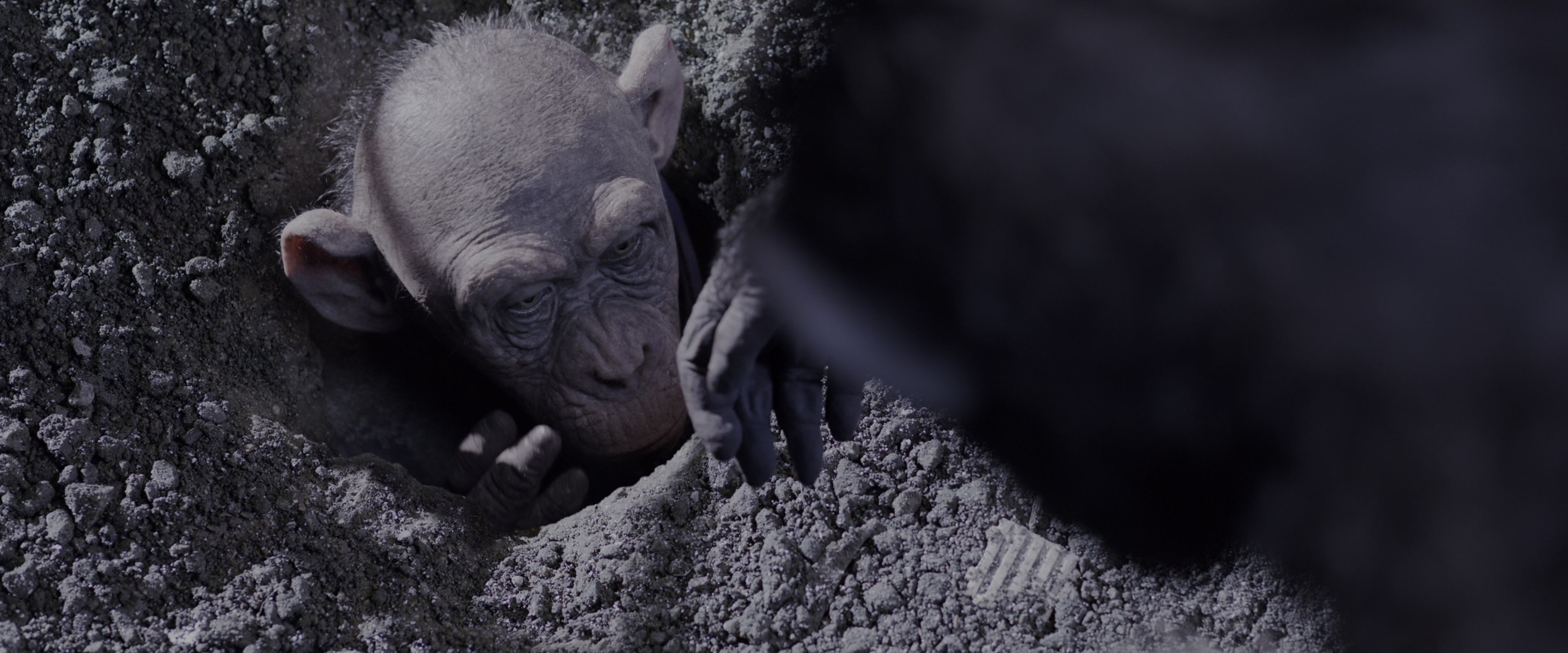 War for the Planet of the Apes (2017), wide, 2.40:1 — film still