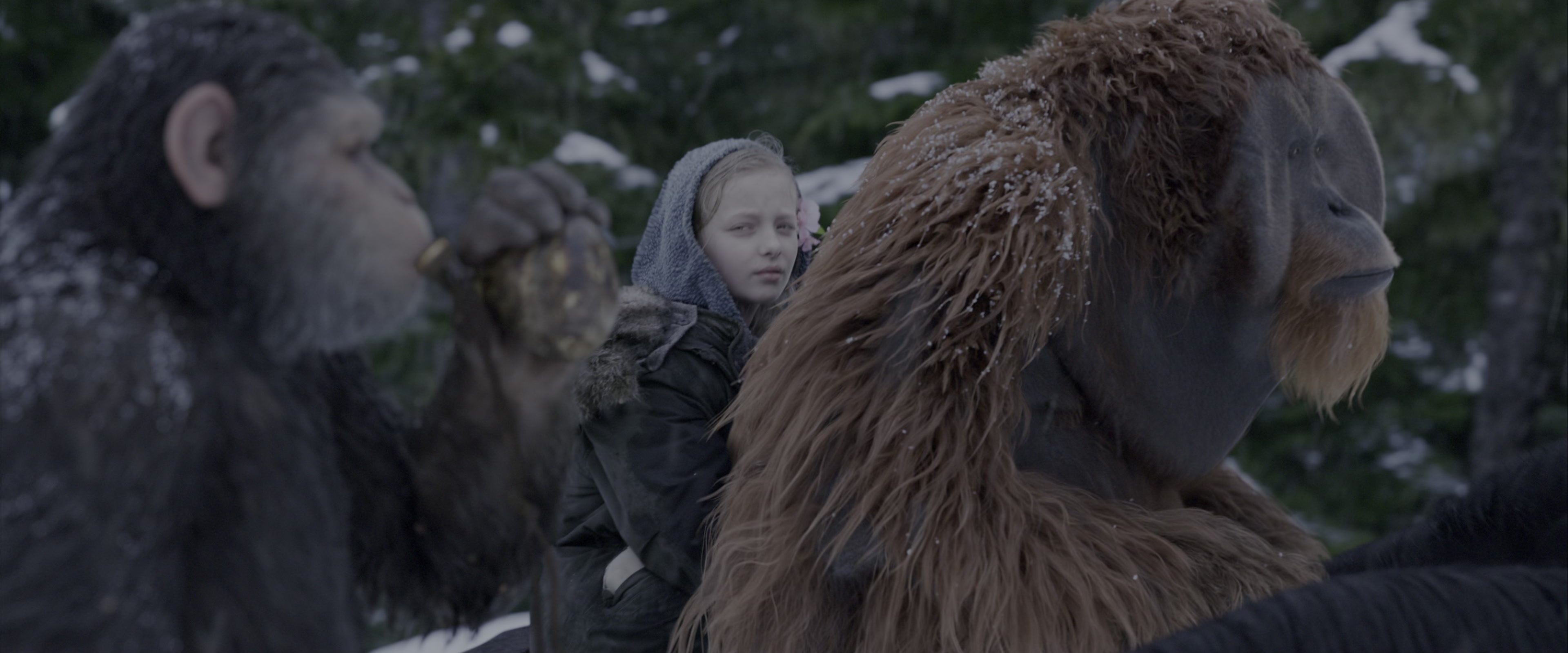 War for the Planet of the Apes (2017), wide, 2.40:1 — film still