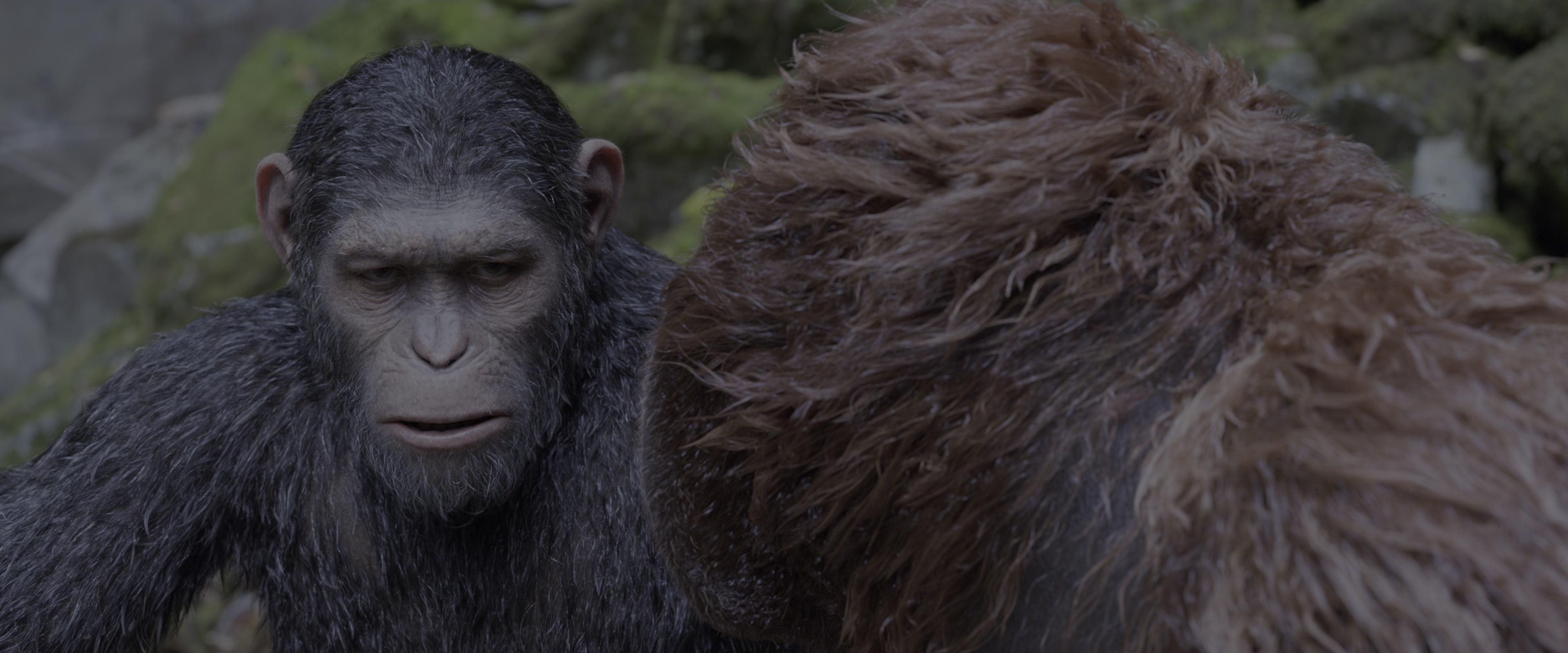 War for the Planet of the Apes (2017), medium, 2.40:1 — film still