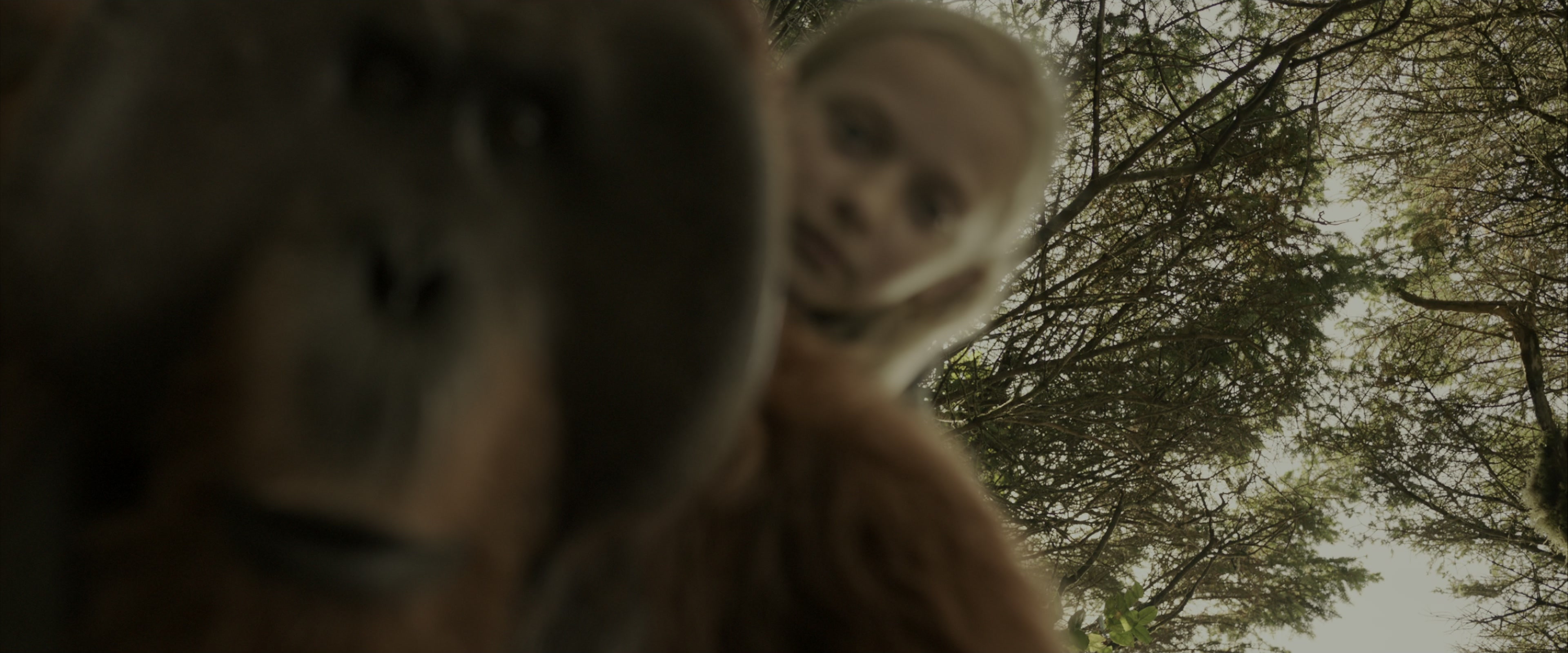 War for the Planet of the Apes (2017), wide, 2.40:1 — film still