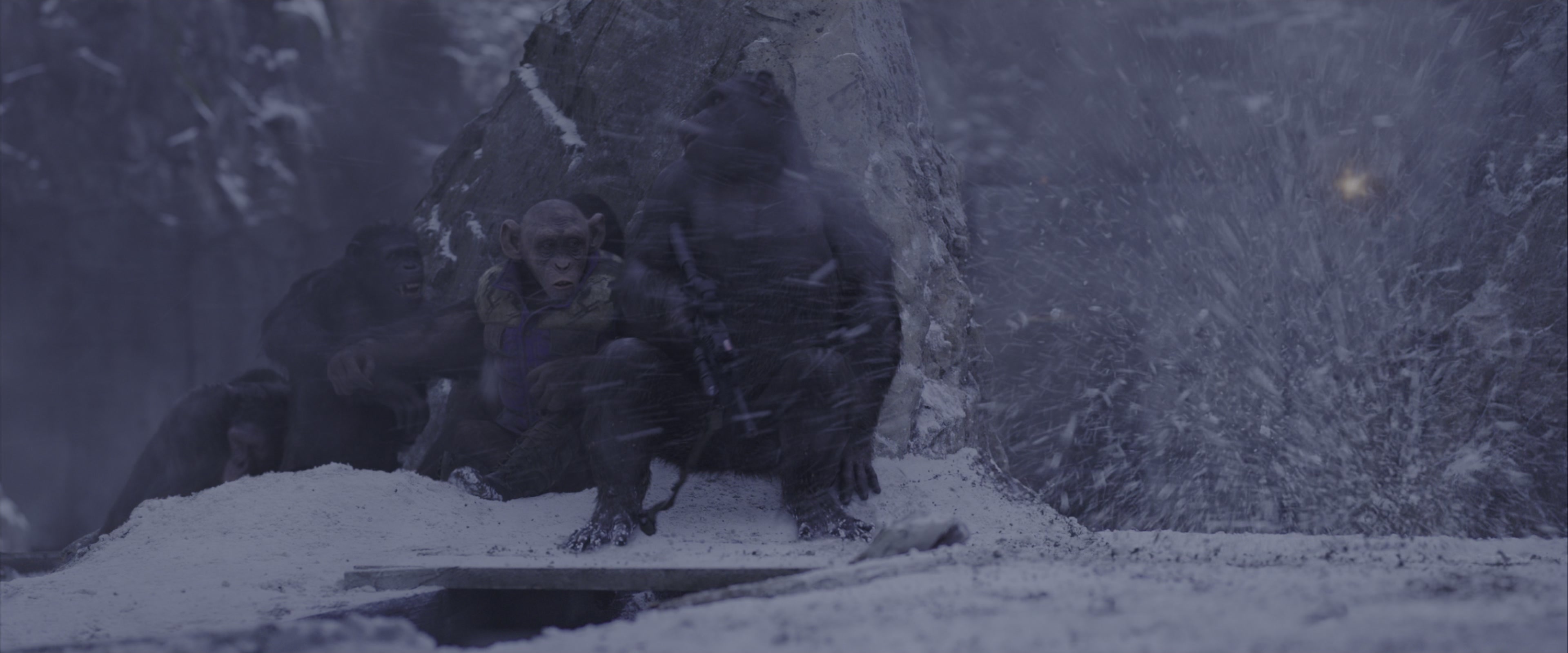 War for the Planet of the Apes (2017), wide, 2.40:1 — film still