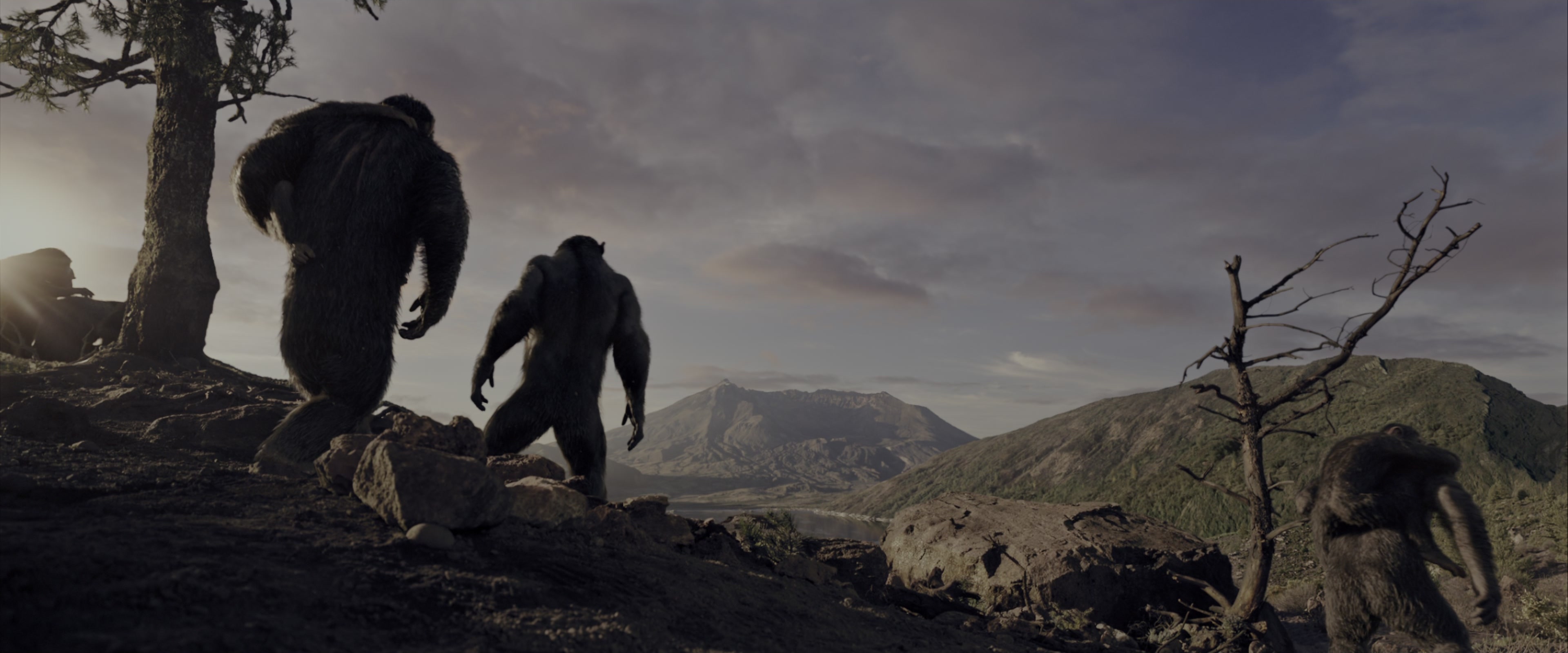 War for the Planet of the Apes (2017), wide, 2.40:1 — film still