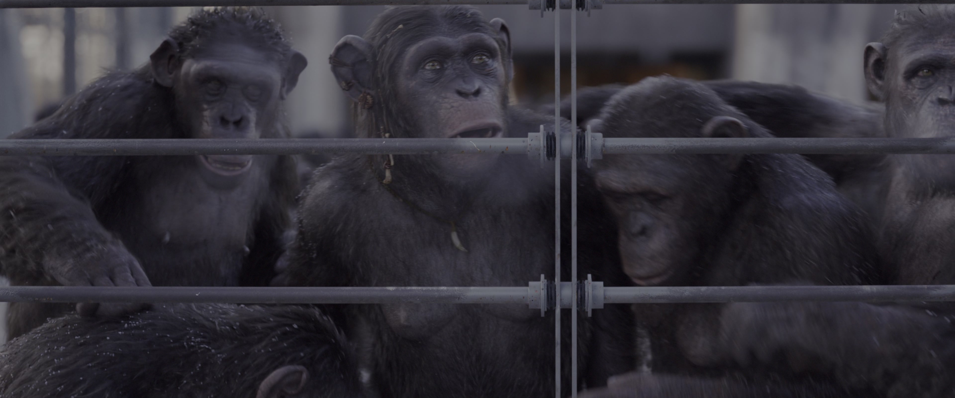 War for the Planet of the Apes (2017), wide, 2.40:1 — film still