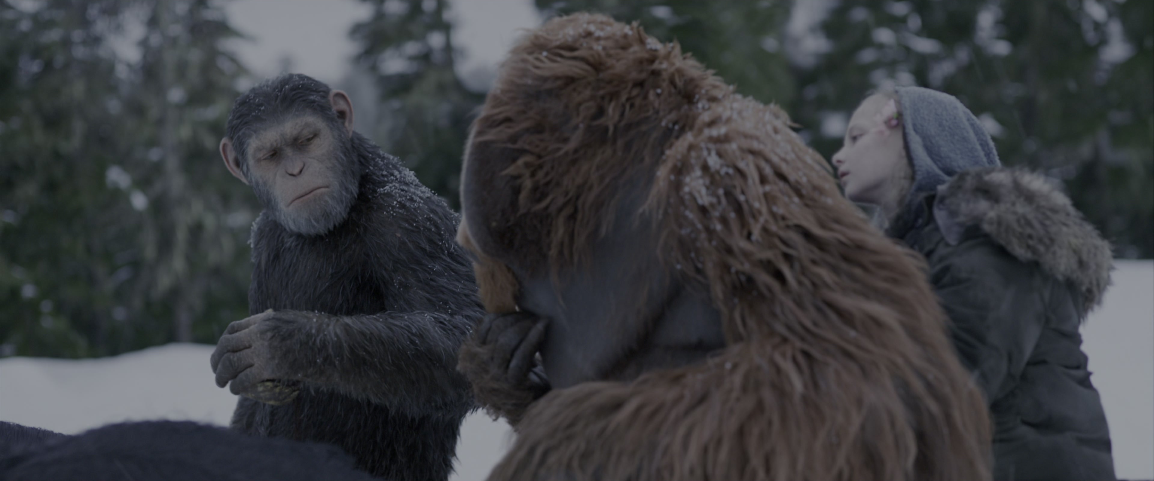 War for the Planet of the Apes (2017), wide, 2.40:1 — film still