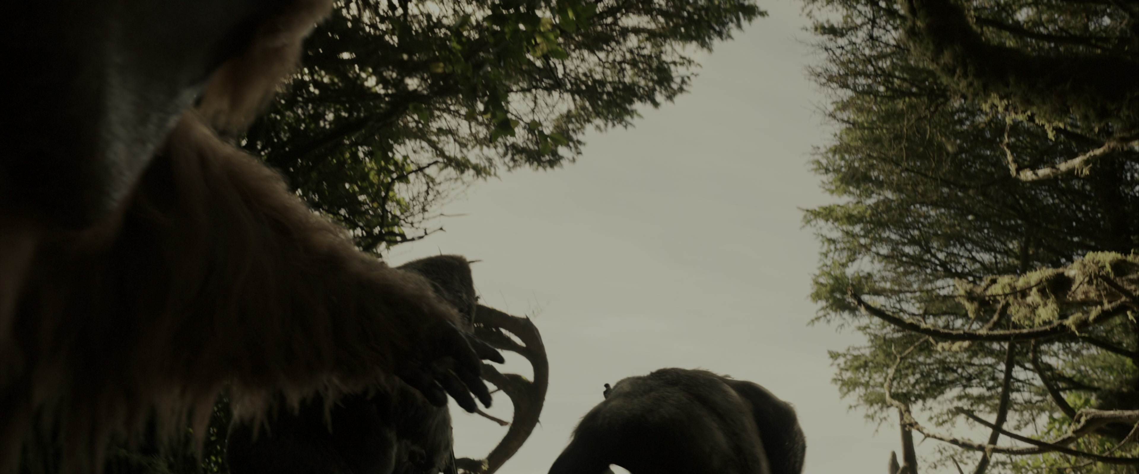 War for the Planet of the Apes (2017), wide, 2.40:1 — film still