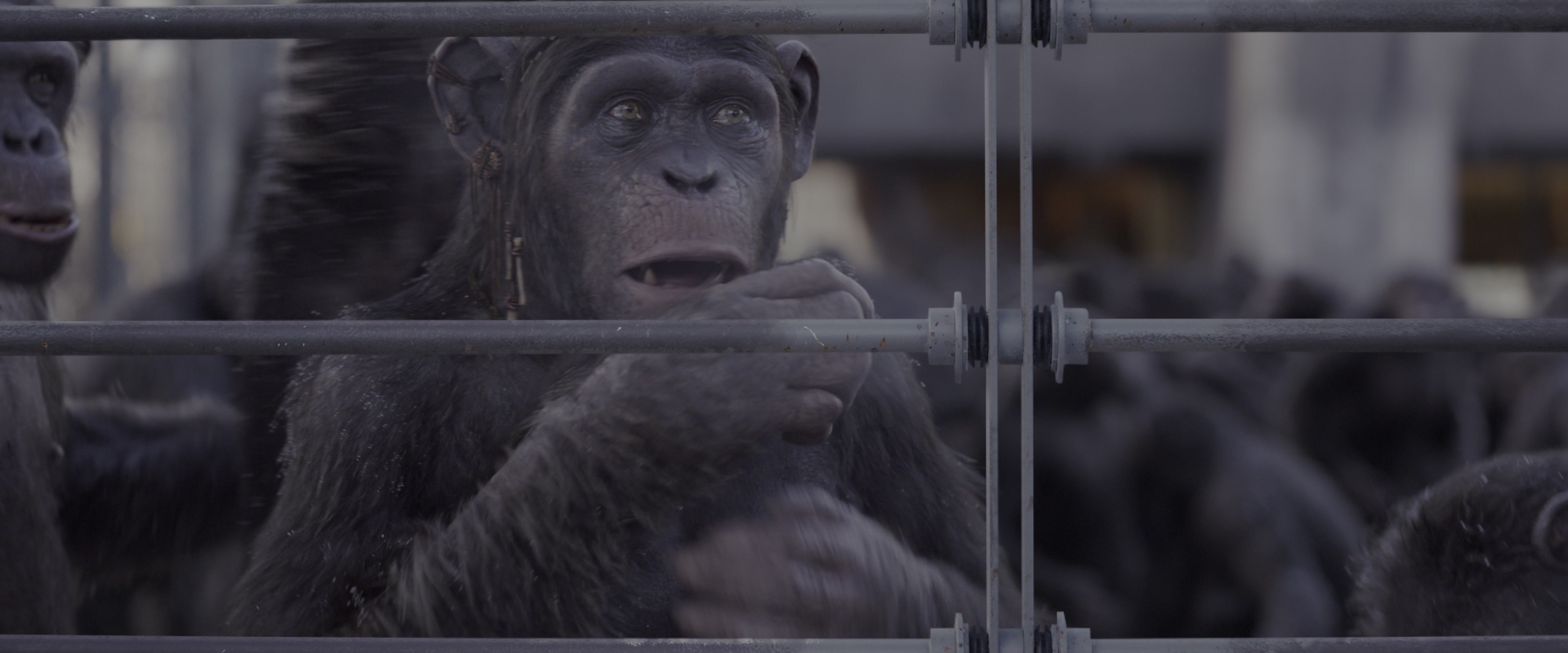 War for the Planet of the Apes (2017), wide, 2.40:1 — film still