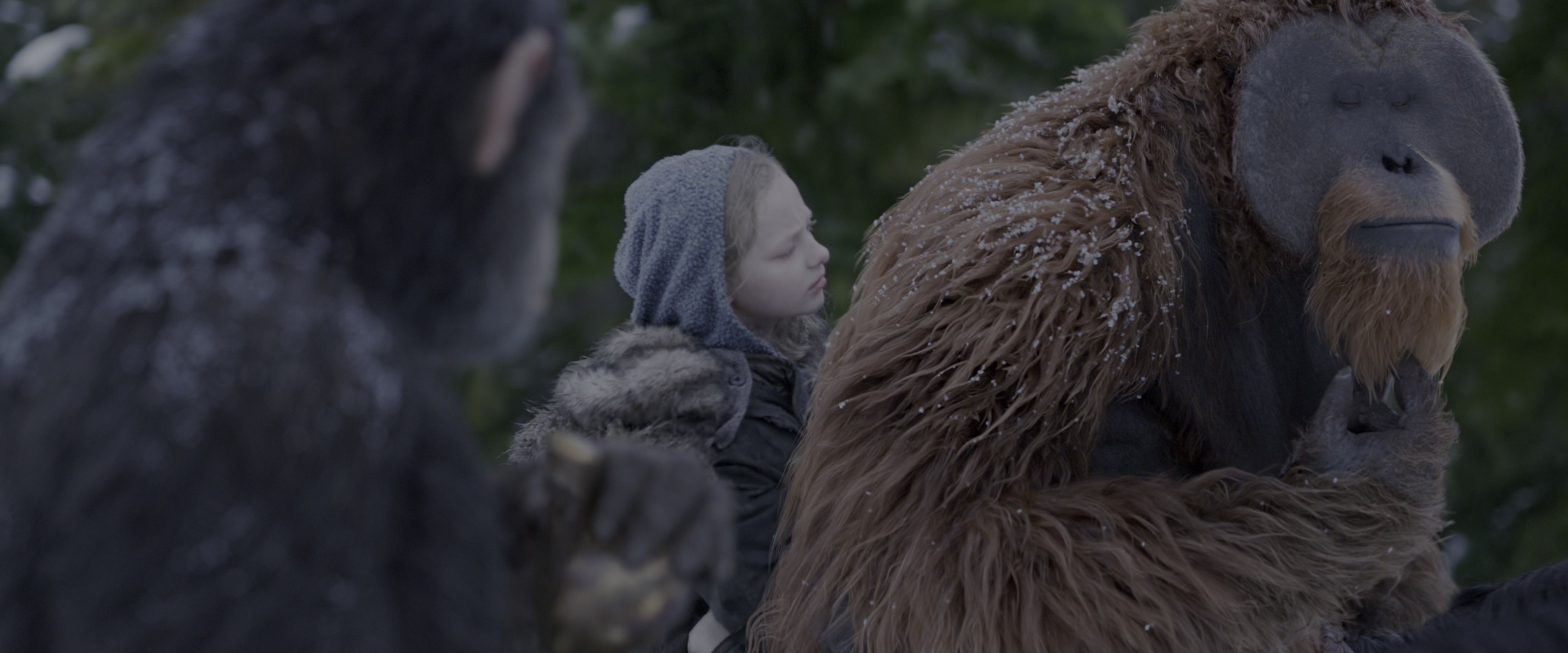 War for the Planet of the Apes (2017), wide, 2.40:1 — film still