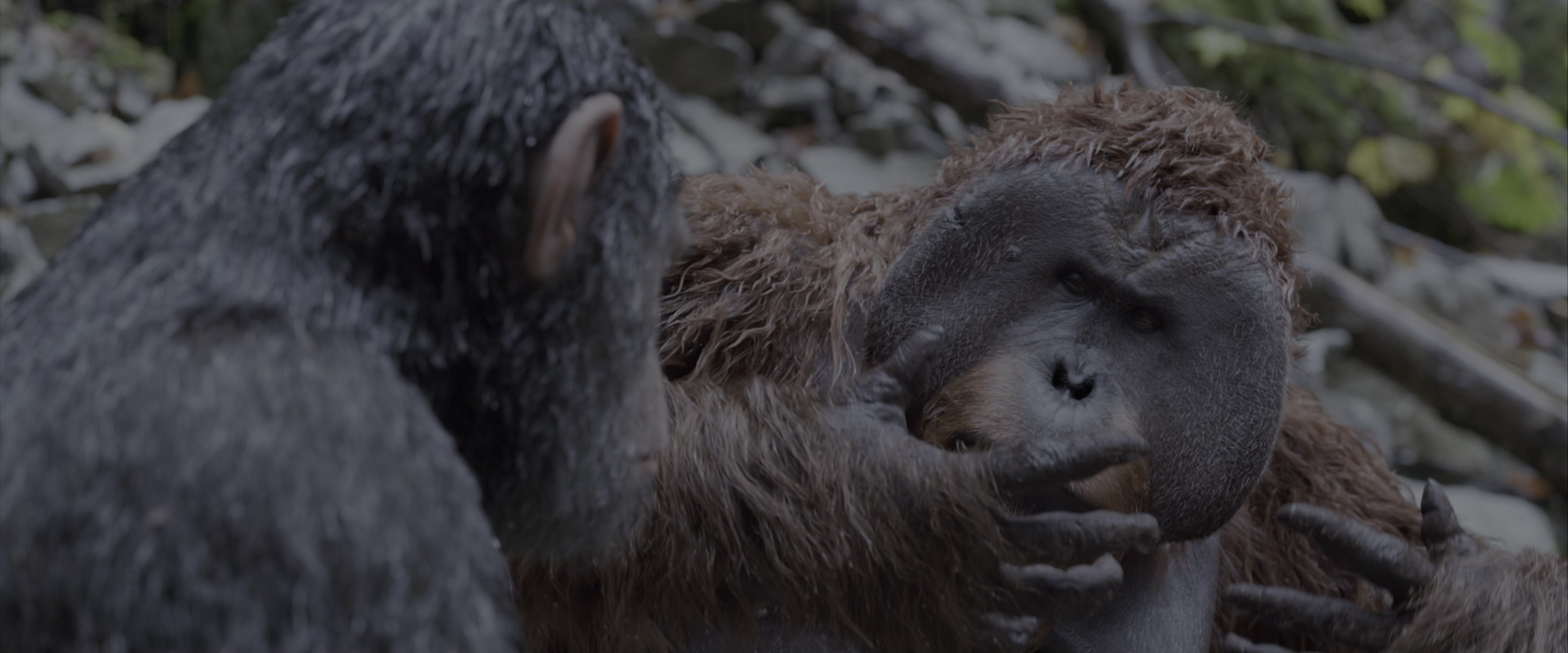 War for the Planet of the Apes (2017), wide, 2.40:1 — film still