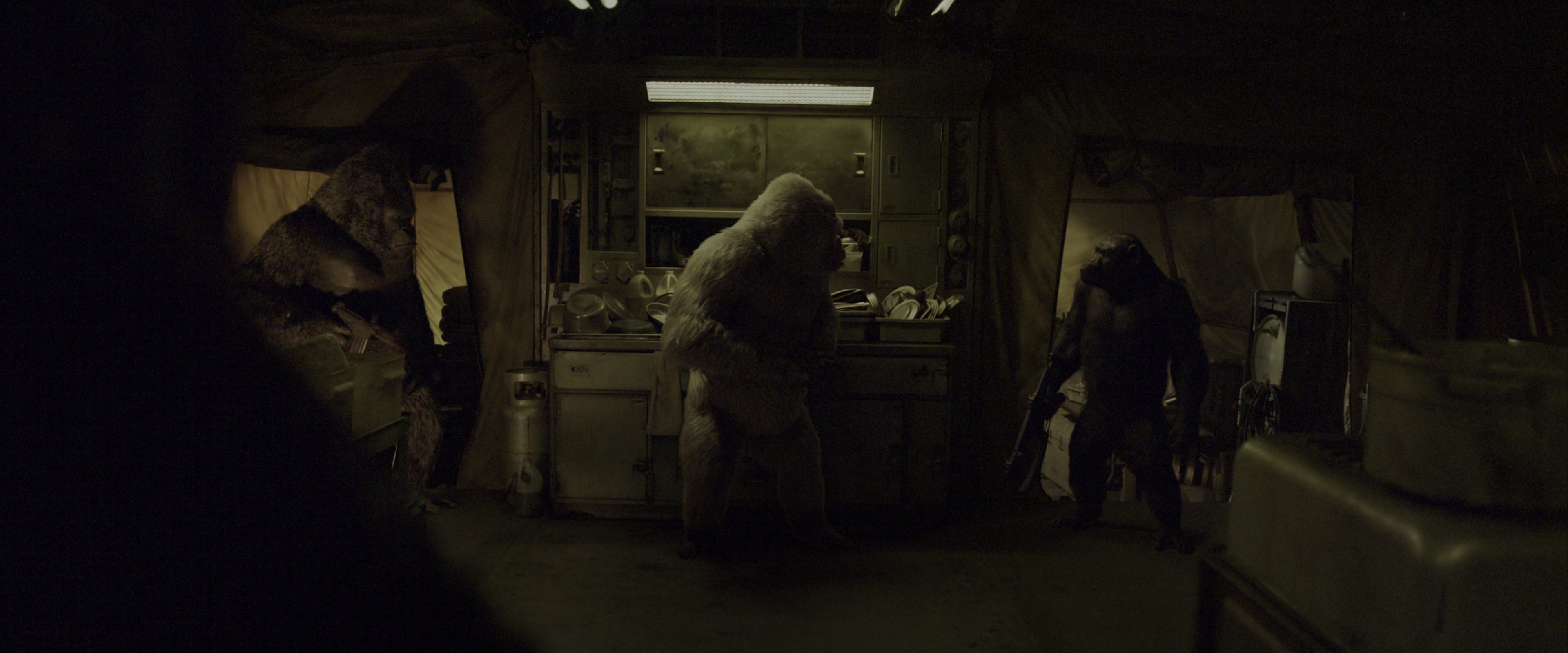 War for the Planet of the Apes (2017), wide, 2.40:1 — film still