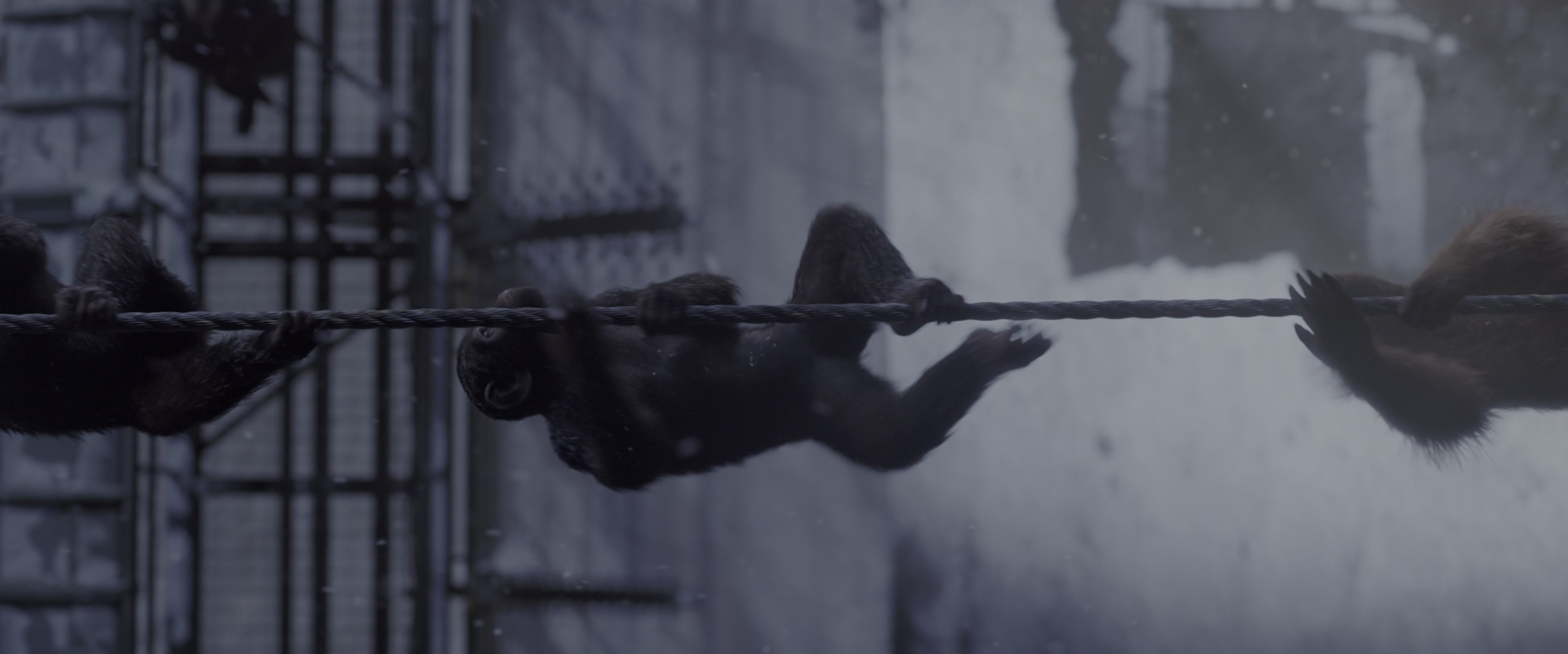 War for the Planet of the Apes (2017), wide, 2.40:1 — film still