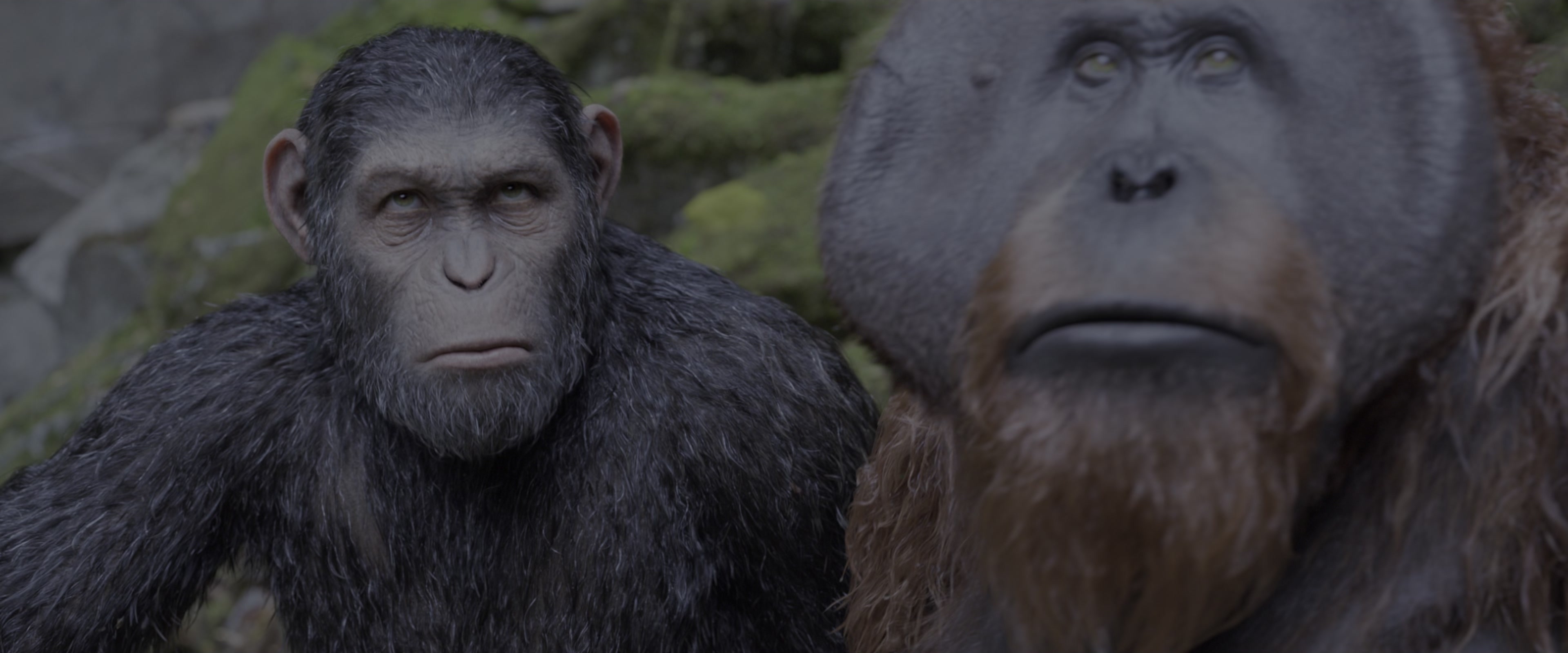 War for the Planet of the Apes (2017), medium, 2.40:1 — film still