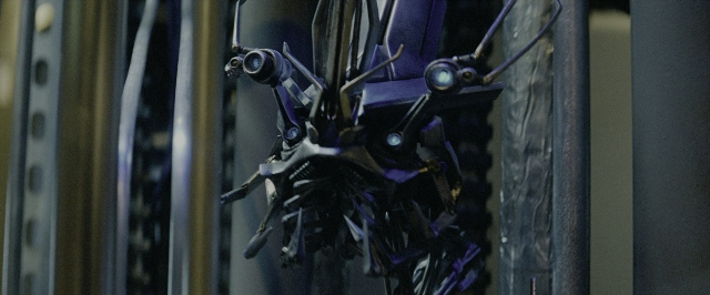 seria-111987.jpg