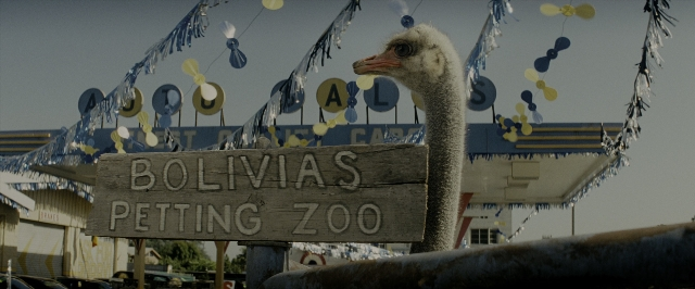 Wide shot frame from Transformers — standing, ostrich