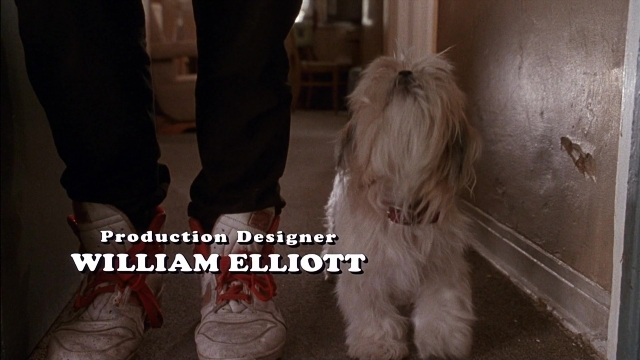 Wide shot frame from Ace Ventura: Pet Detective — standing, dog, person