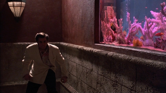 Ace Ventura: Pet Detective — film still