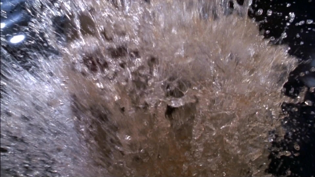 Wide shot frame from Ace Ventura: Pet Detective — animal, water