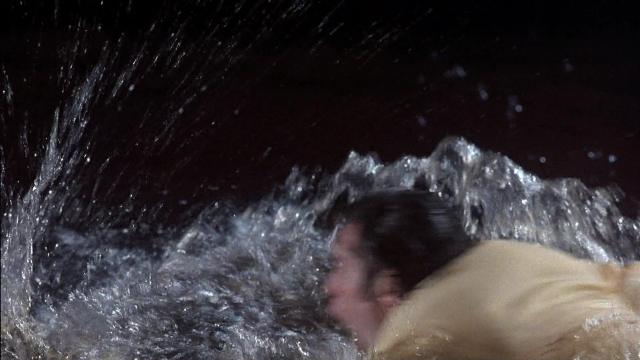 Wide shot frame from Ace Ventura: Pet Detective — water, person, human face