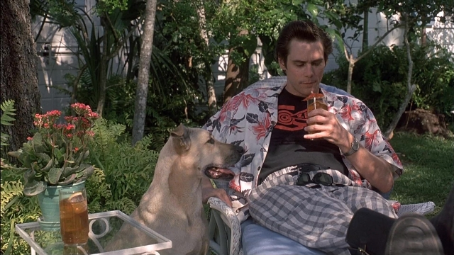 Ace Ventura: Pet Detective — film still