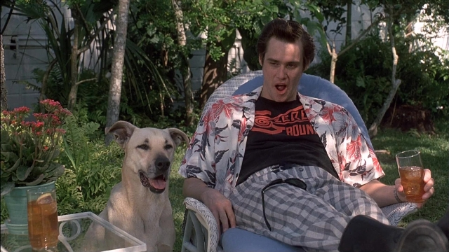 Ace Ventura: Pet Detective — film still
