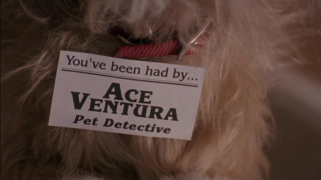 Ace Ventura: Pet Detective — film still