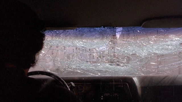 Ace Ventura: Pet Detective — film still